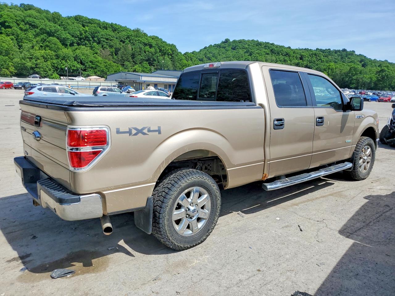2014 Ford F150 Supercrew Beige vin: 1FTFW1ETXEKF17593