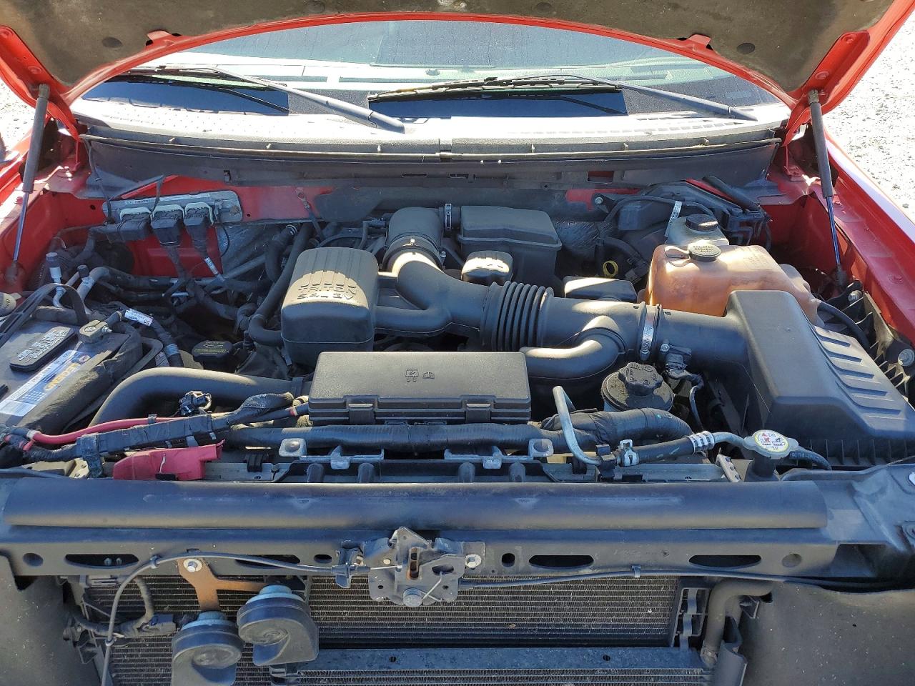2010 Ford F150 Supercrew Красный vin: 1FTFW1EV0AFA73290