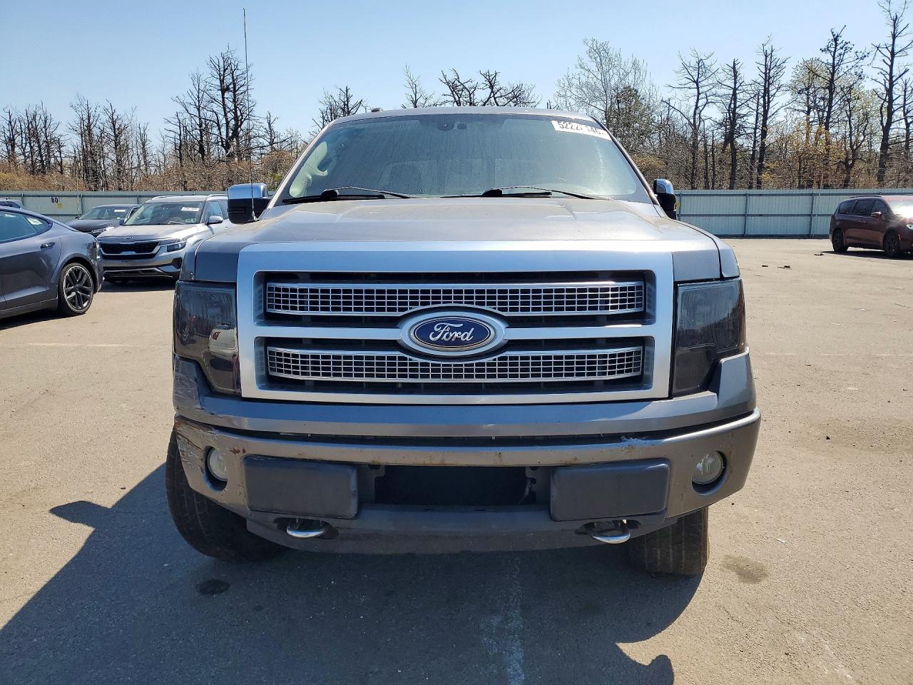 2010 Ford F150 Supercrew Gray vin: 1FTFW1EV0AFC86370