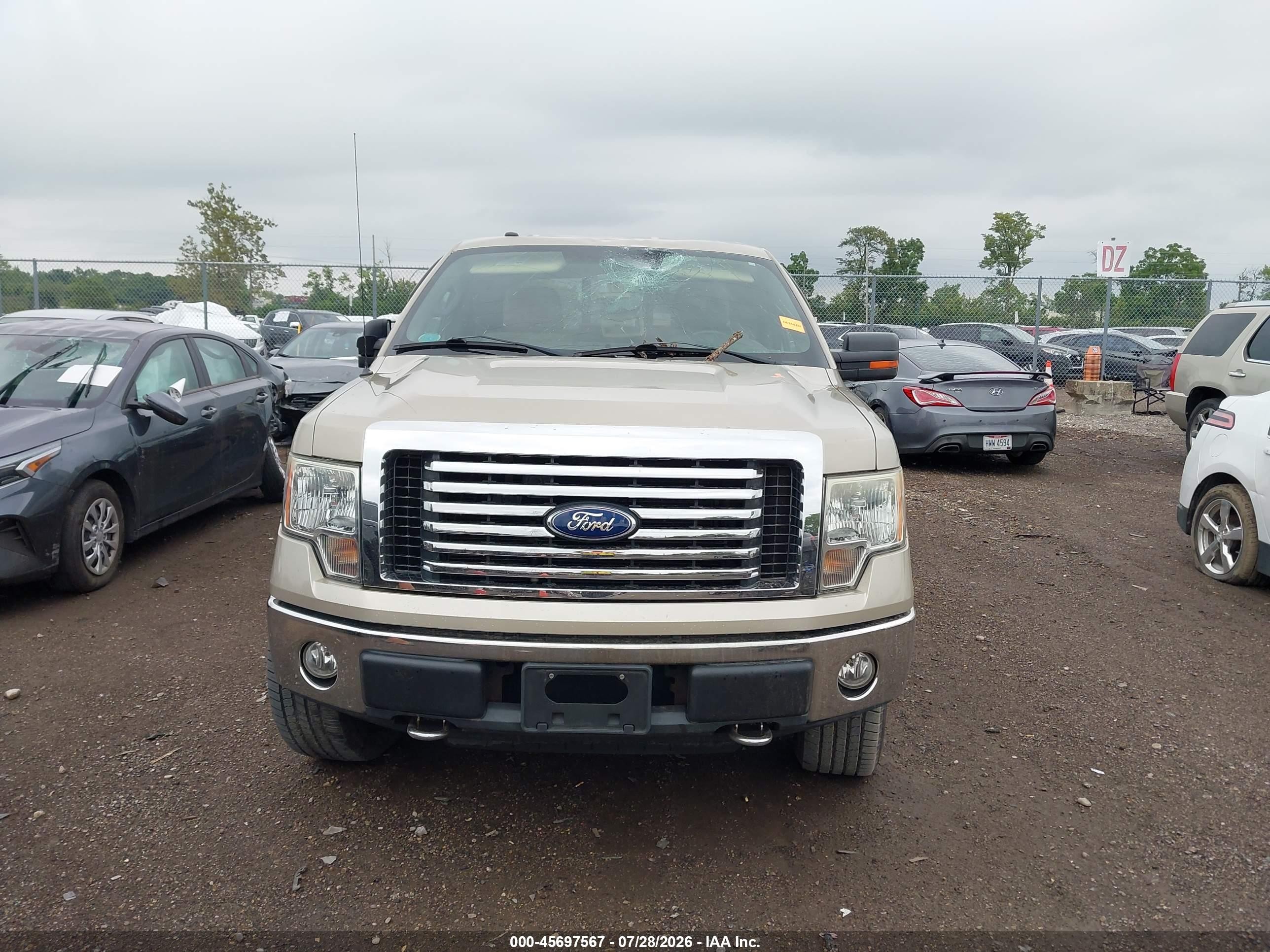 2010 Ford F-150 Fx4/harley-davidson/king Ranch/lariat/platinum/xl/xlt Gold vin: 1FTFW1EV0AFD31386