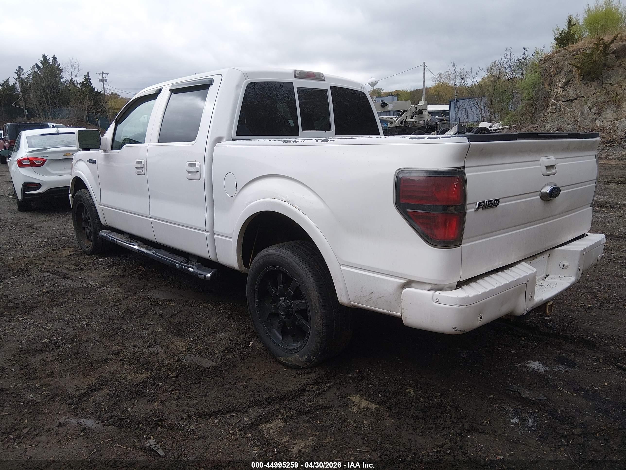 2010 Ford F-150 Fx4/harley-davidson/king Ranch/lariat/platinum/xl/xlt White vin: 1FTFW1EV1AFB49390
