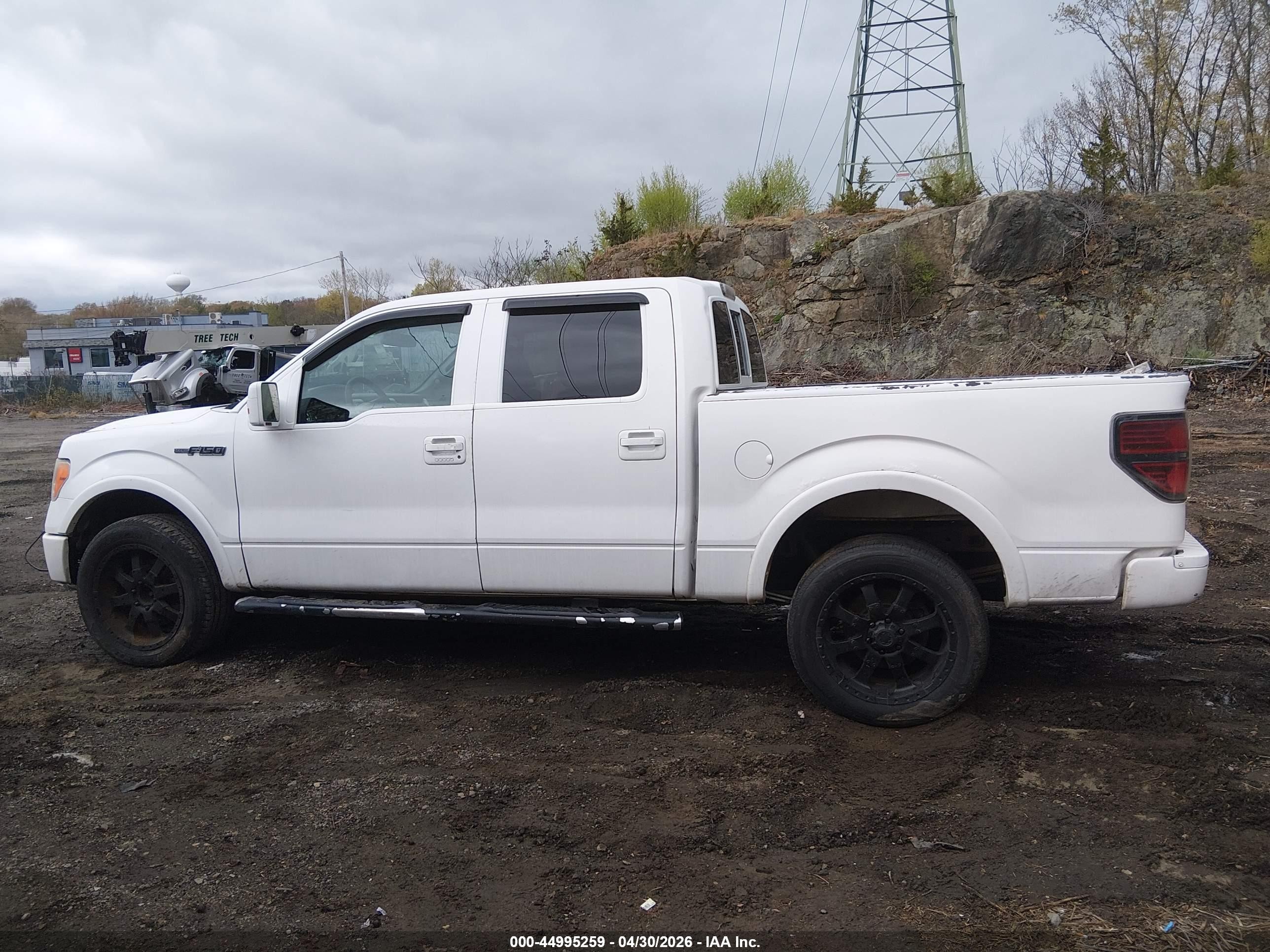 2010 Ford F-150 Fx4/harley-davidson/king Ranch/lariat/platinum/xl/xlt White vin: 1FTFW1EV1AFB49390