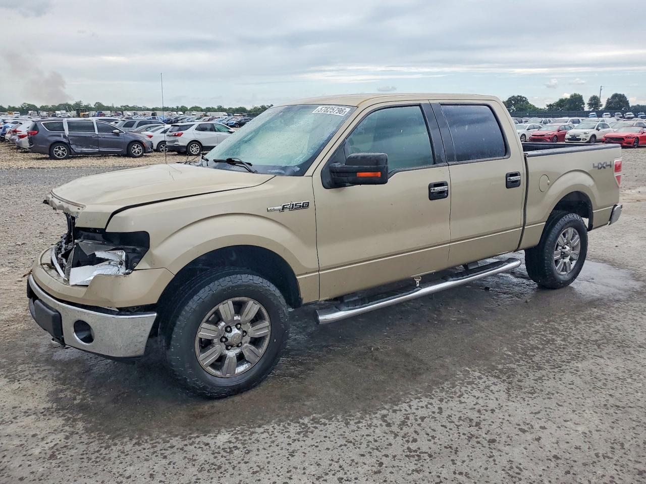 2010 Ford F150 Supercrew Золотой vin: 1FTFW1EV1AFB49471