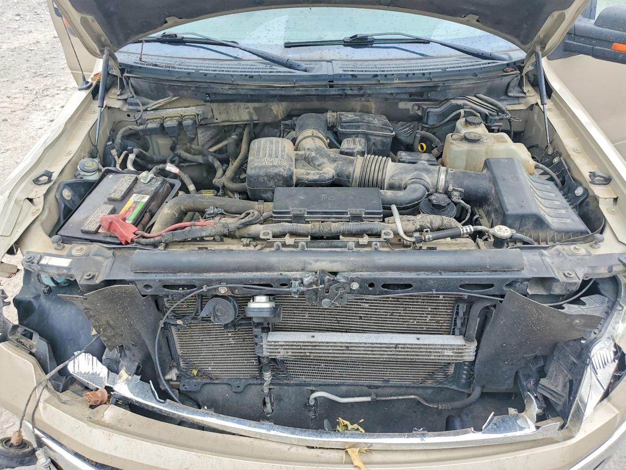2010 Ford F150 Supercrew Золотой vin: 1FTFW1EV1AFB49471