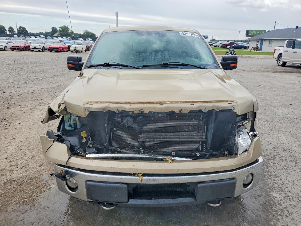 2010 Ford F150 Supercrew Золотой vin: 1FTFW1EV1AFB49471