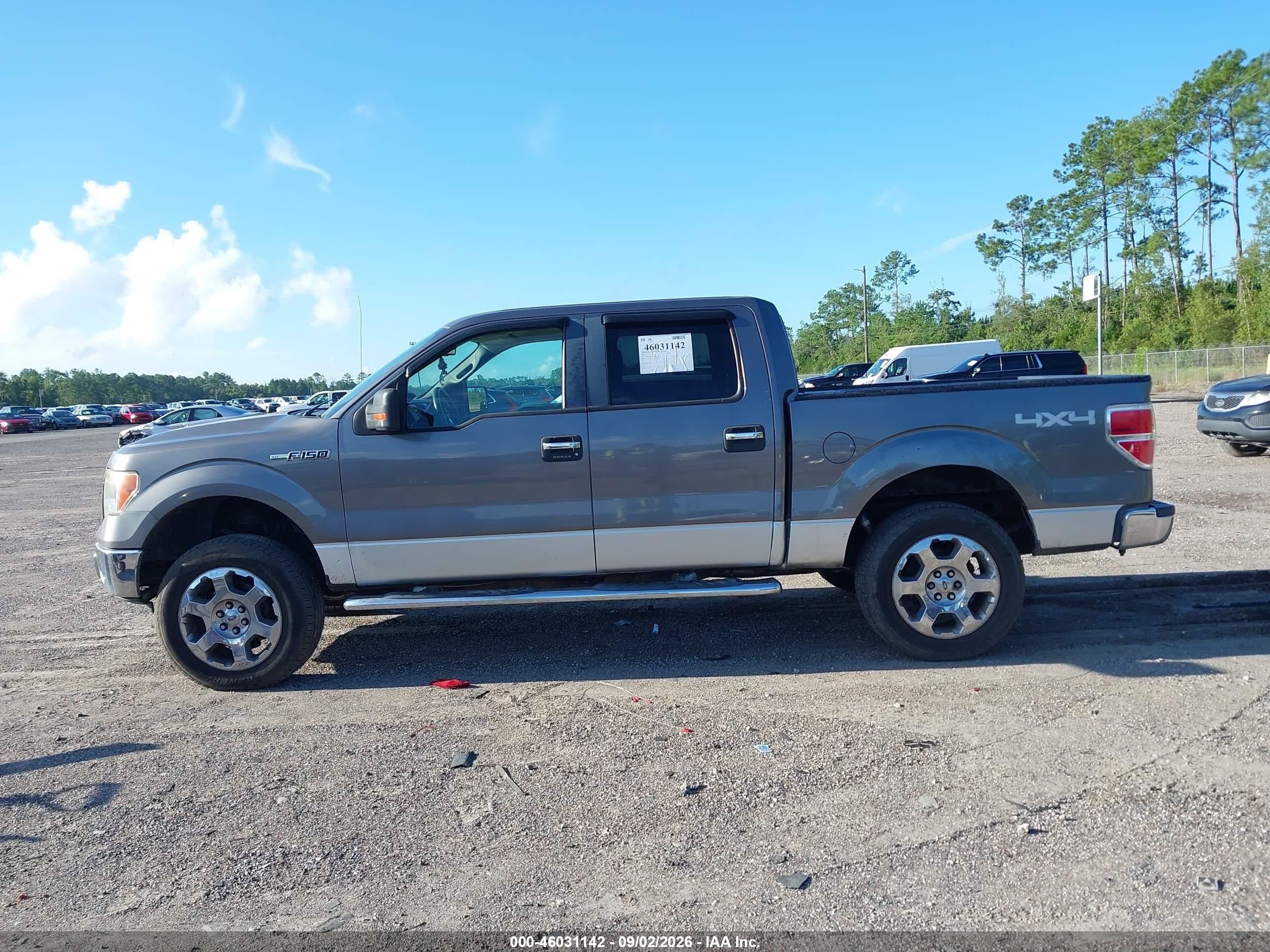 2010 Ford F-150   Beige vin: 1FTFW1EV1AFB95768