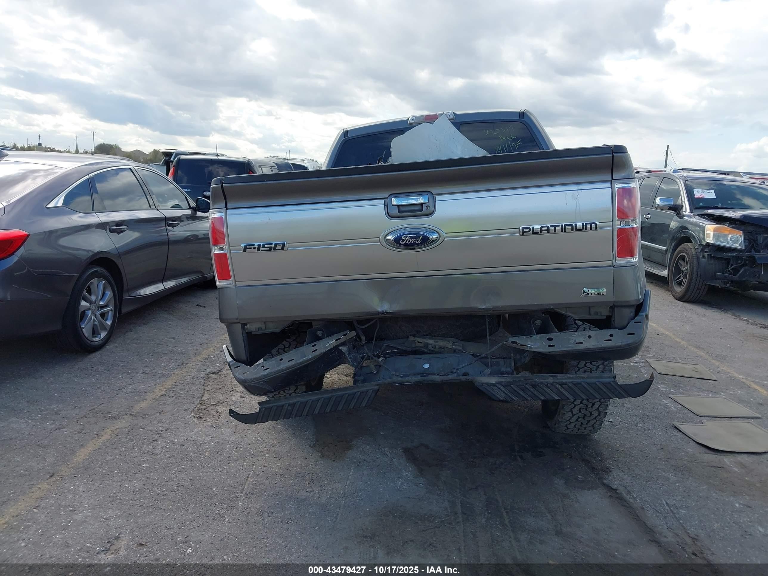 2010 Ford F-150 Fx4/harley-davidson/king Ranch/lariat/platinum/xl/xlt Tan vin: 1FTFW1EV3AFA13990