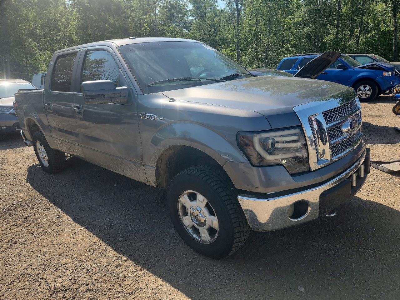 2010 Ford F150 Supercrew Gray vin: 1FTFW1EV4AFD27647