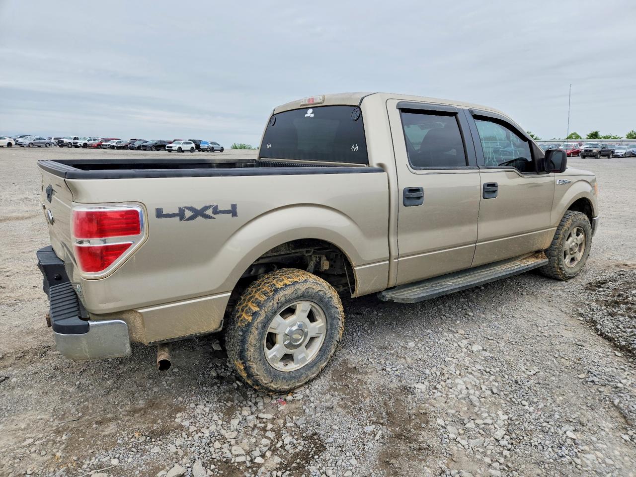 2010 Ford F-150 Золотой vin: 1FTFW1EV4AKE10955