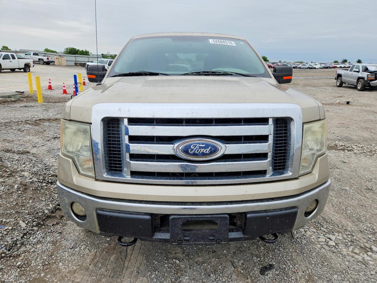 2010 Ford F-150 Золотой vin: 1FTFW1EV4AKE10955