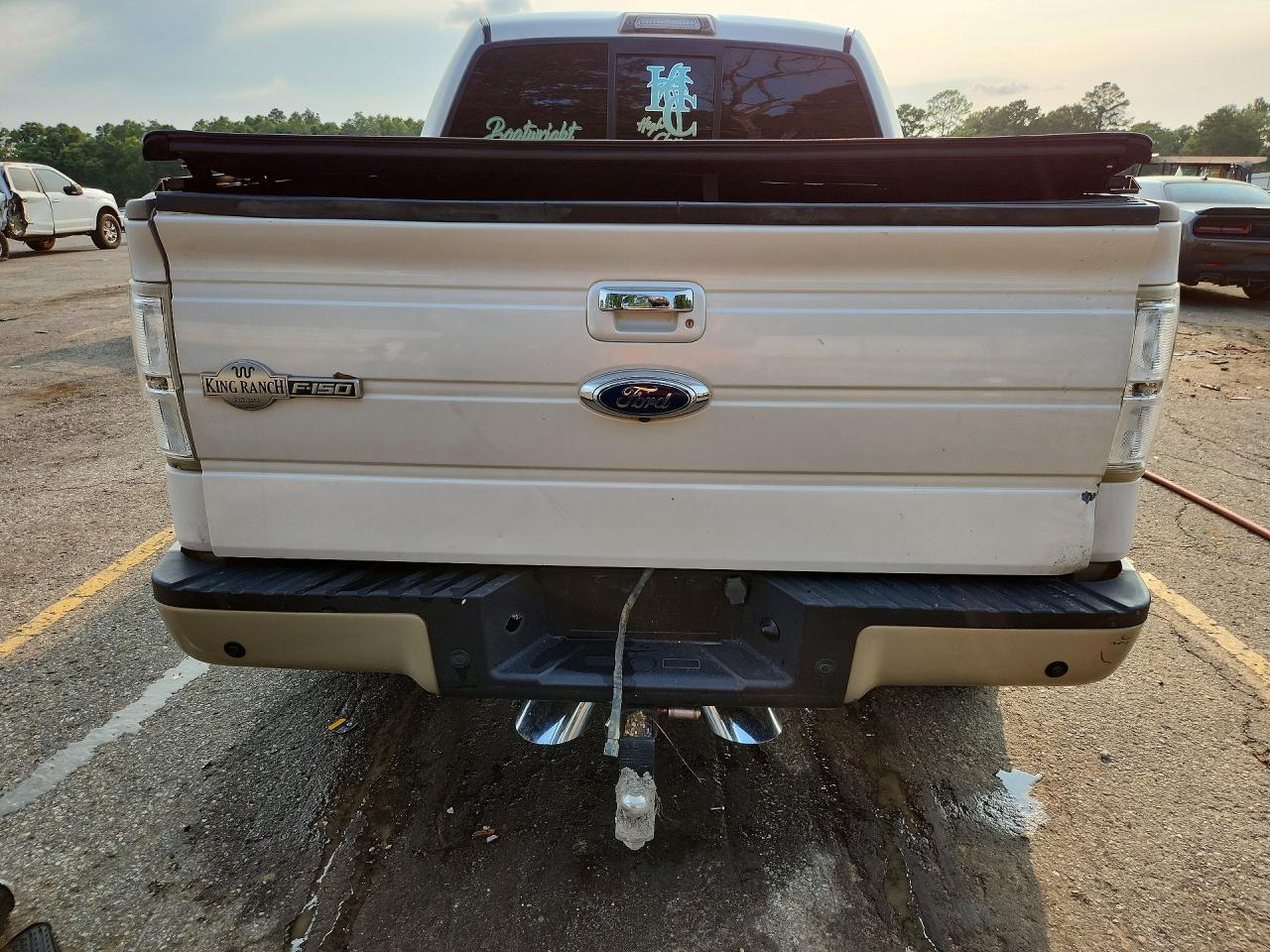 2010 Ford F150 Supercrew Two Tone vin: 1FTFW1EV4AKE20210
