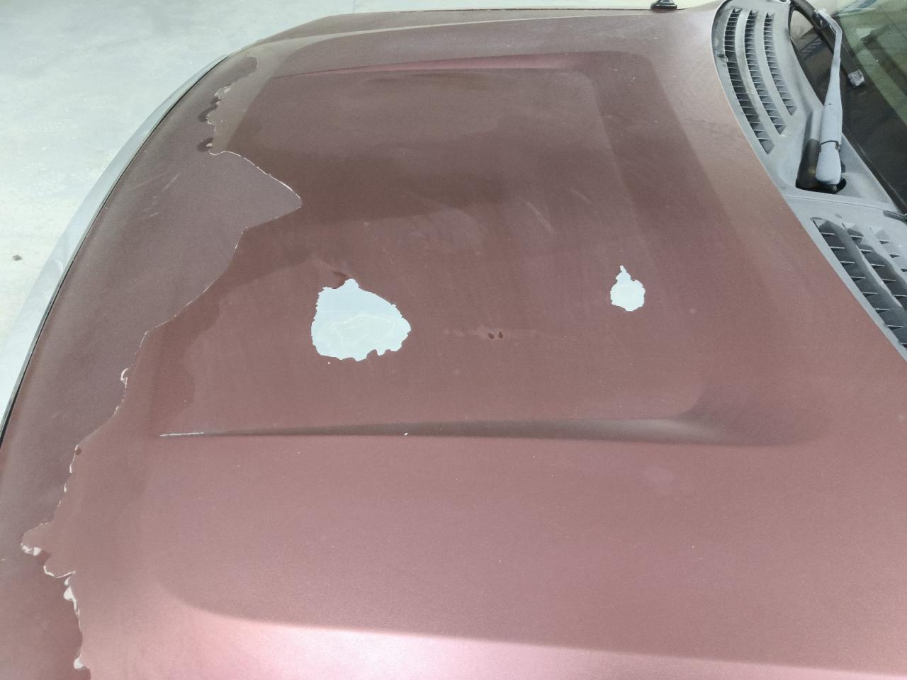 2010 Ford F150 Supercrew Maroon vin: 1FTFW1EV5AFB94283 Damage: Hood, Peeling, > 12 Inches