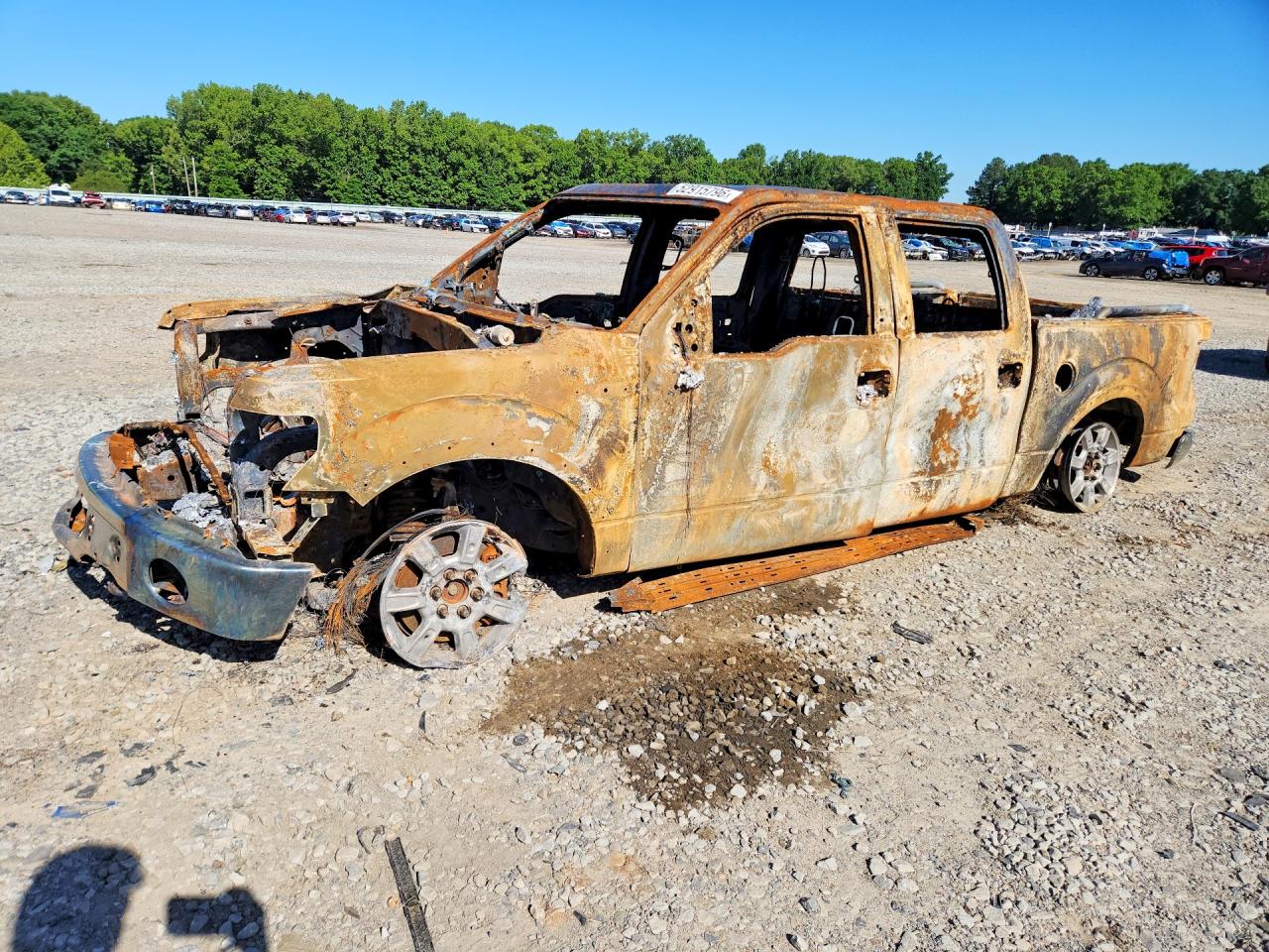 2010 Ford F150 Supercrew Burn vin: 1FTFW1EV5AFC68494