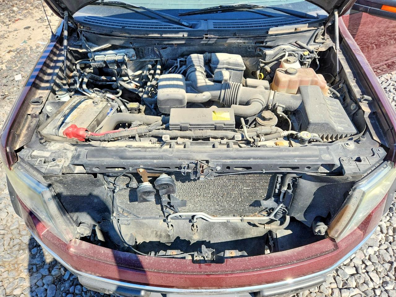 2010 Ford F150 Supercrew Burgundy vin: 1FTFW1EV6AFC39053