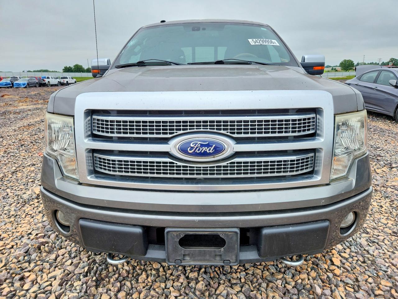 2010 Ford F150 Supercrew Gray vin: 1FTFW1EV7AFA36009