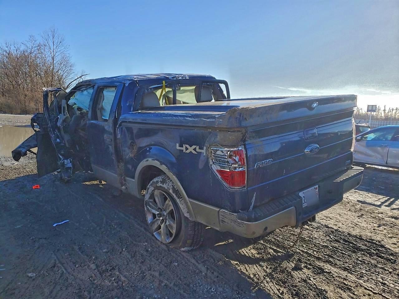 2010 Ford F150 Blue vin: 1FTFW1EV7AFB82751