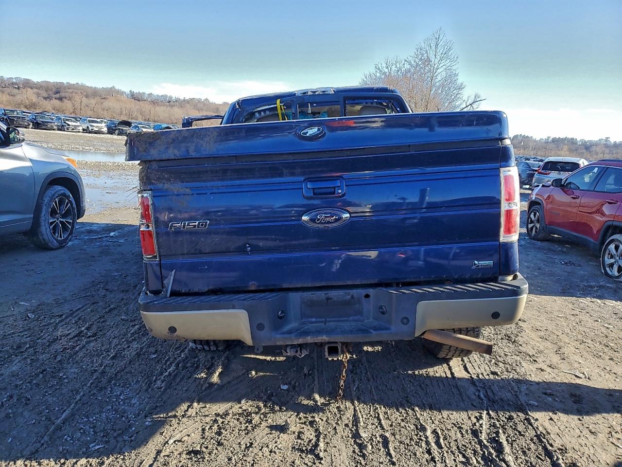 2010 Ford F150 Blue vin: 1FTFW1EV7AFB82751