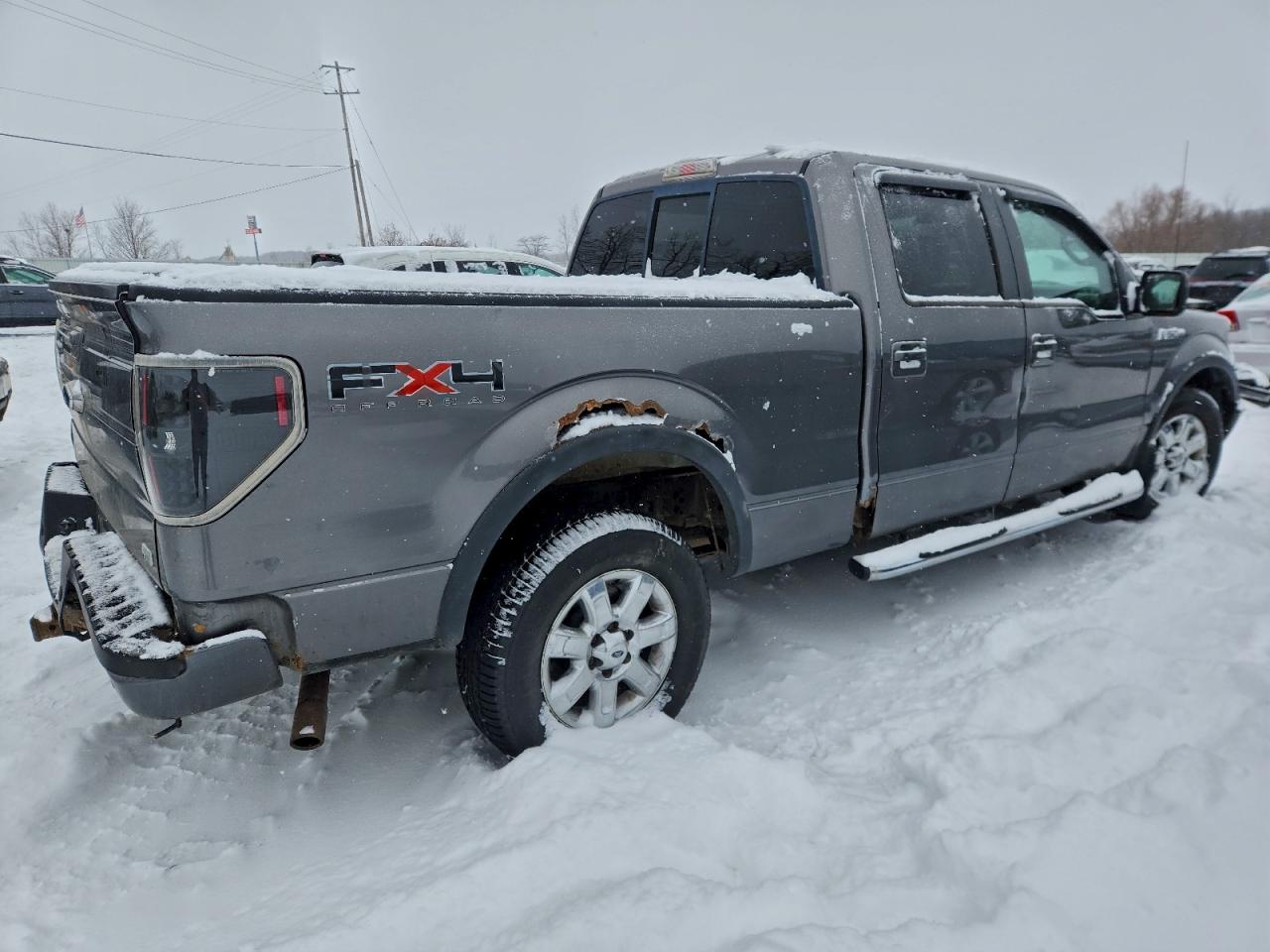 2010 Ford F150 Supercrew Gray vin: 1FTFW1EV9AFB31963