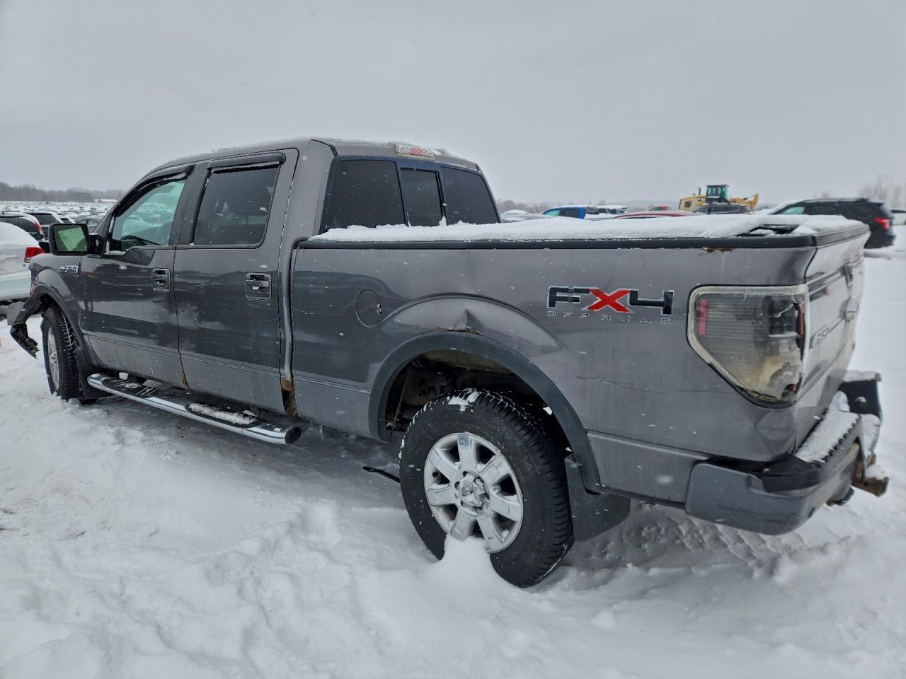 2010 Ford F150 Supercrew Gray vin: 1FTFW1EV9AFB31963