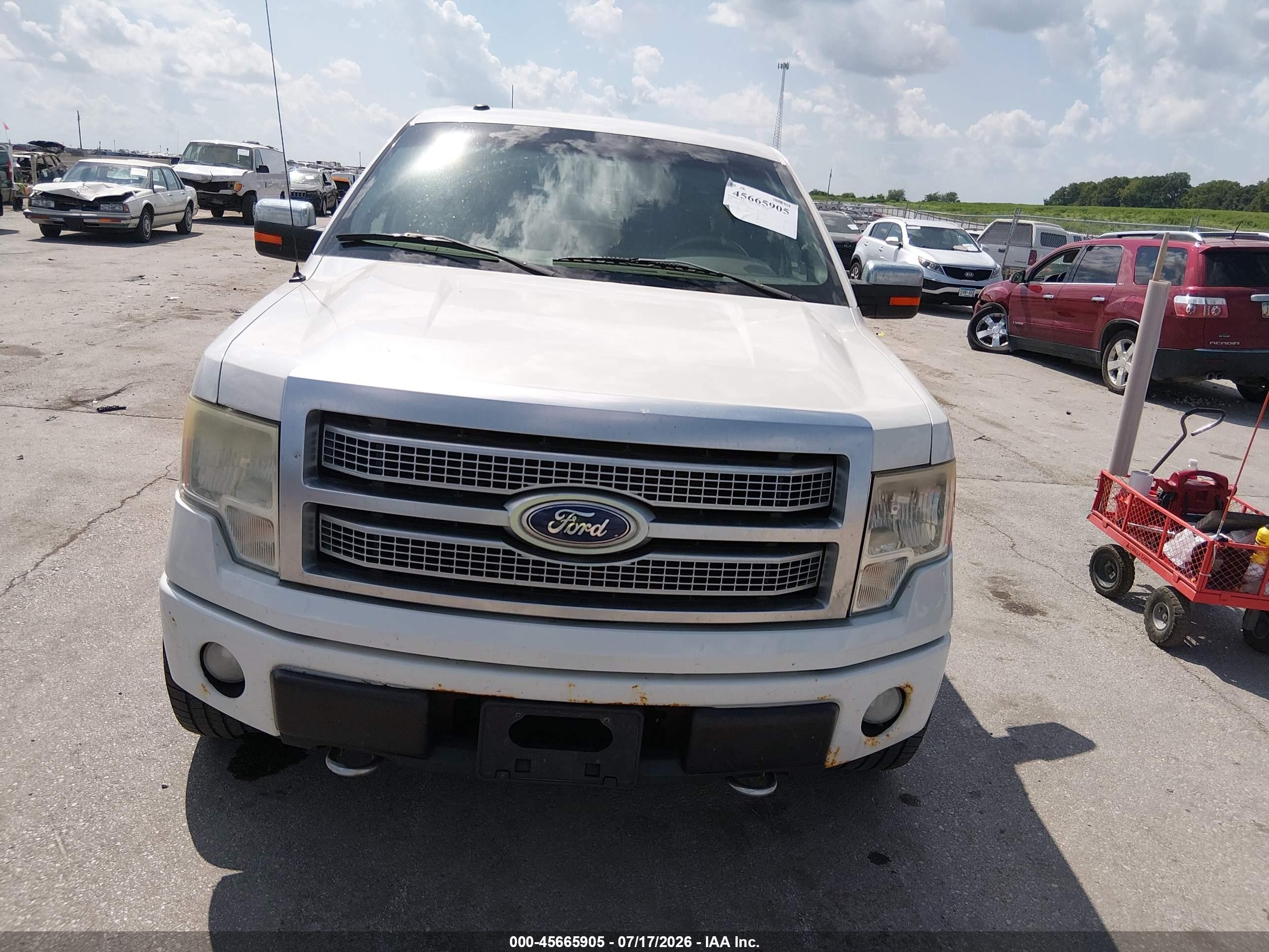 2010 Ford F-150 Platinum Белый vin: 1FTFW1EVXAFB79715