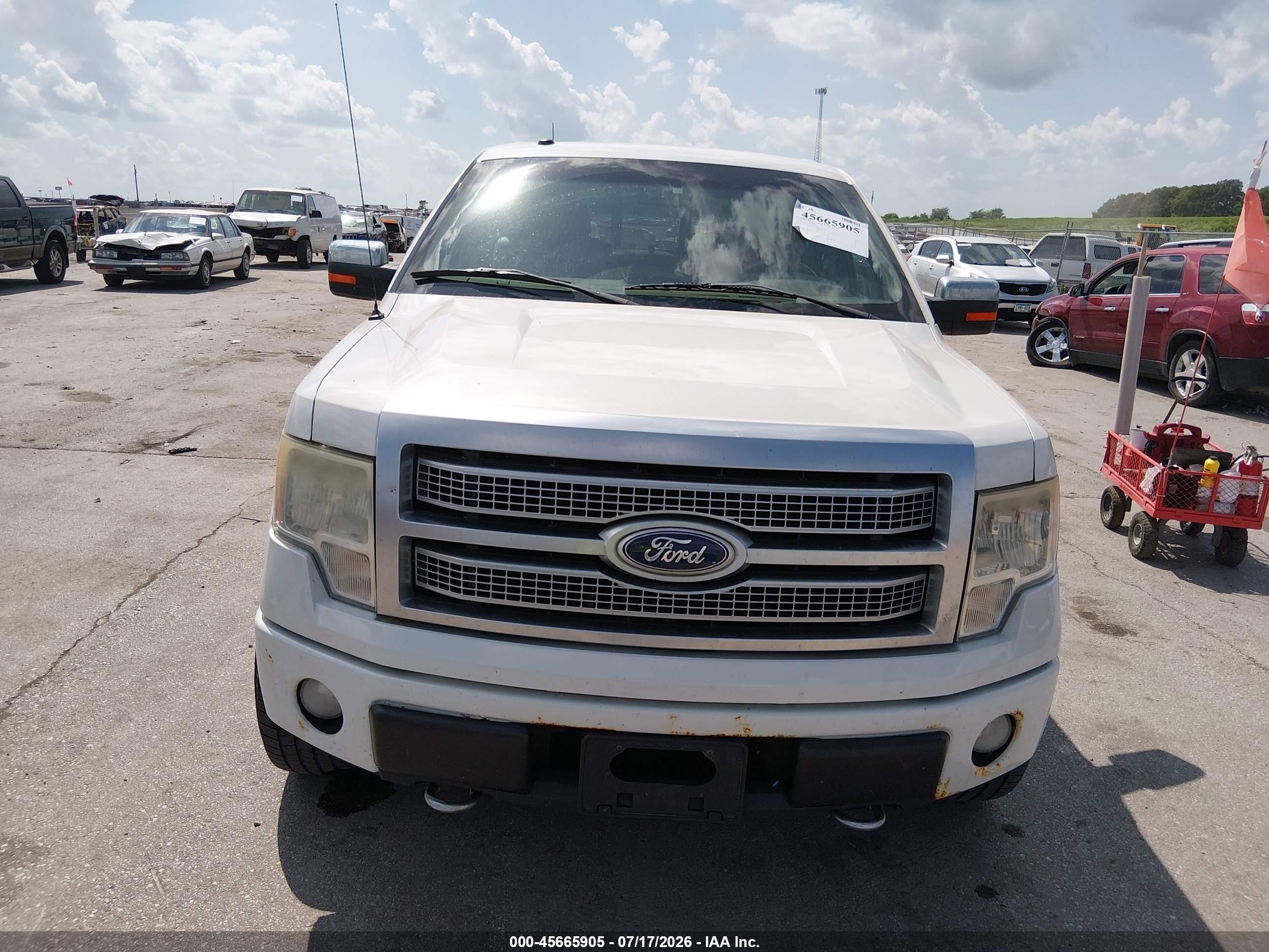 2010 Ford F-150 Platinum Белый vin: 1FTFW1EVXAFB79715