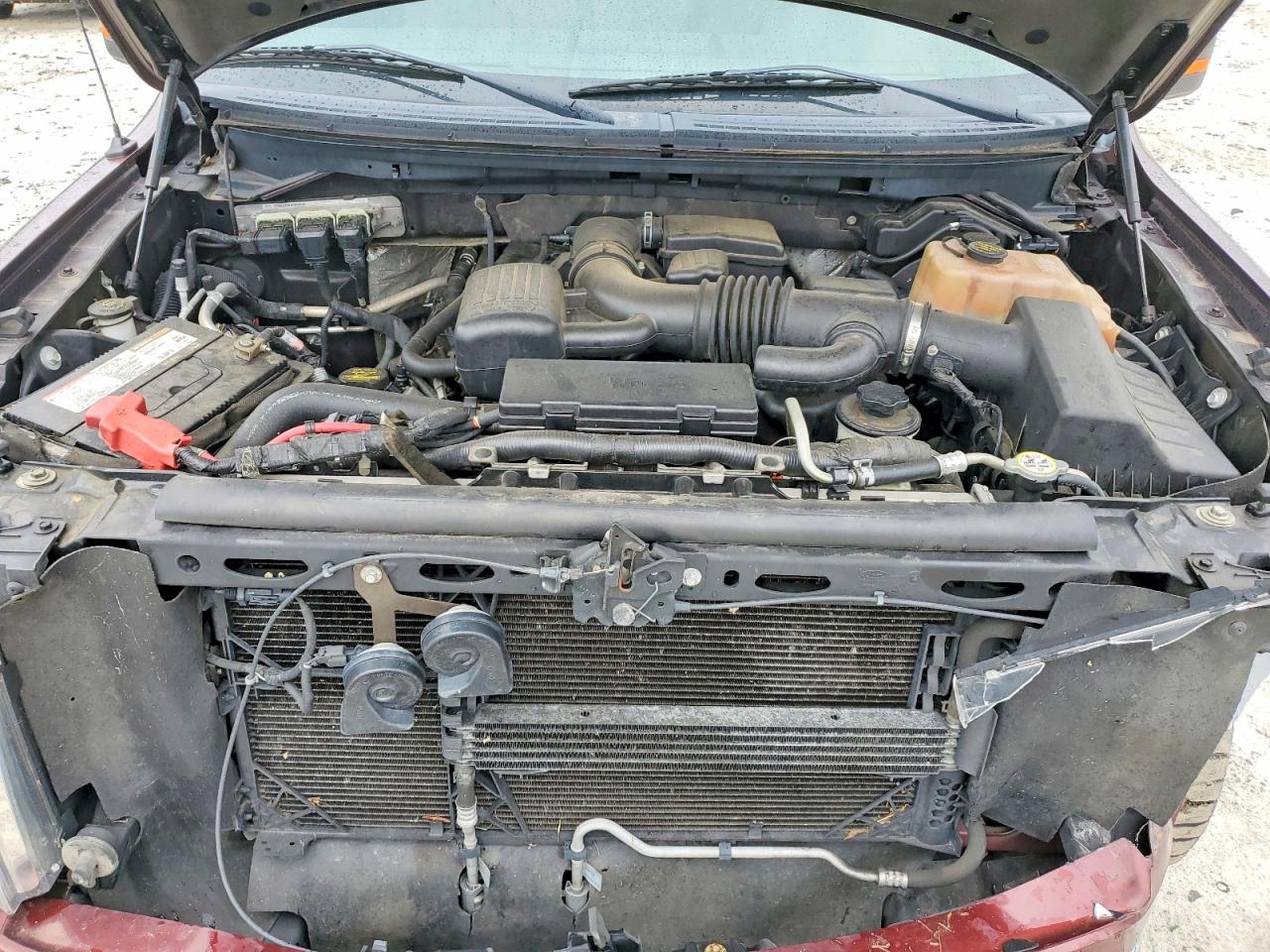 2010 Ford F150 Supercrew Бордовый vin: 1FTFW1EVXAFC56793