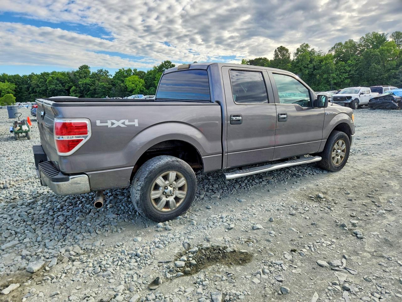 2010 Ford F-150 Gray vin: 1FTFW1EVXAFD61415