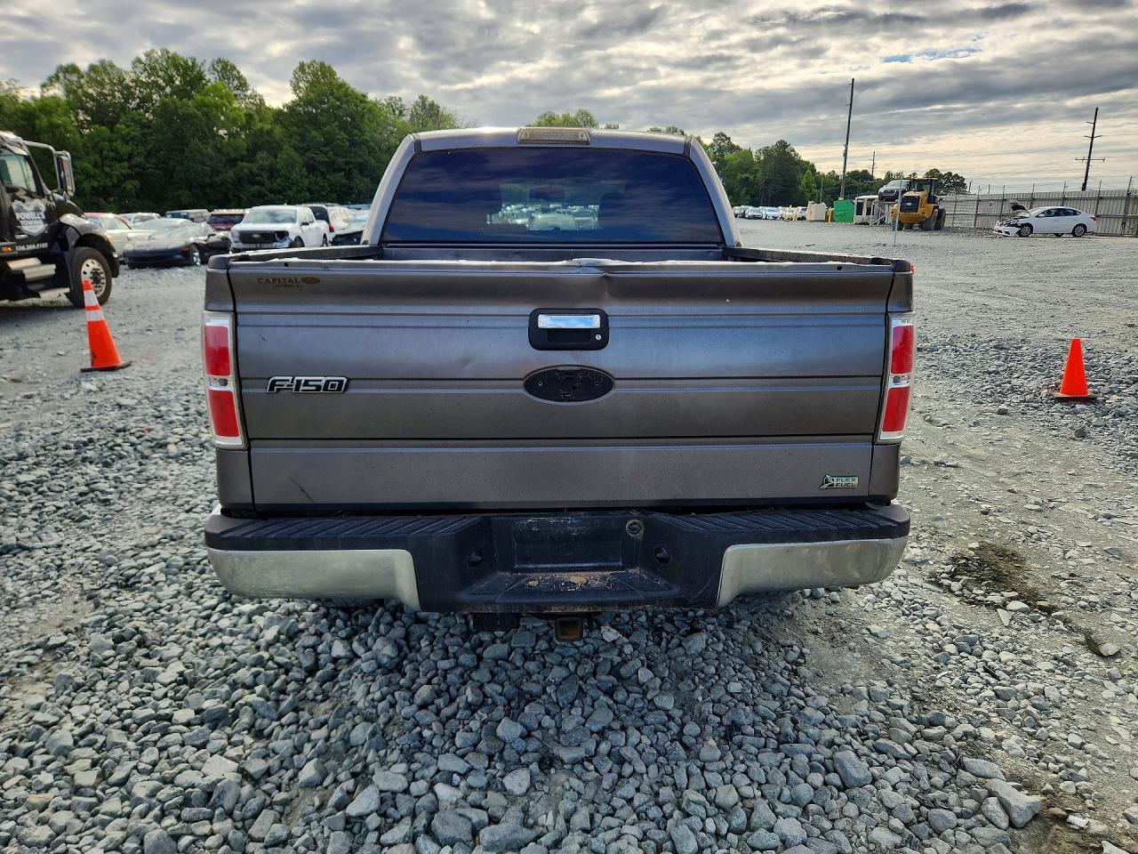 2010 Ford F-150 Gray vin: 1FTFW1EVXAFD61415