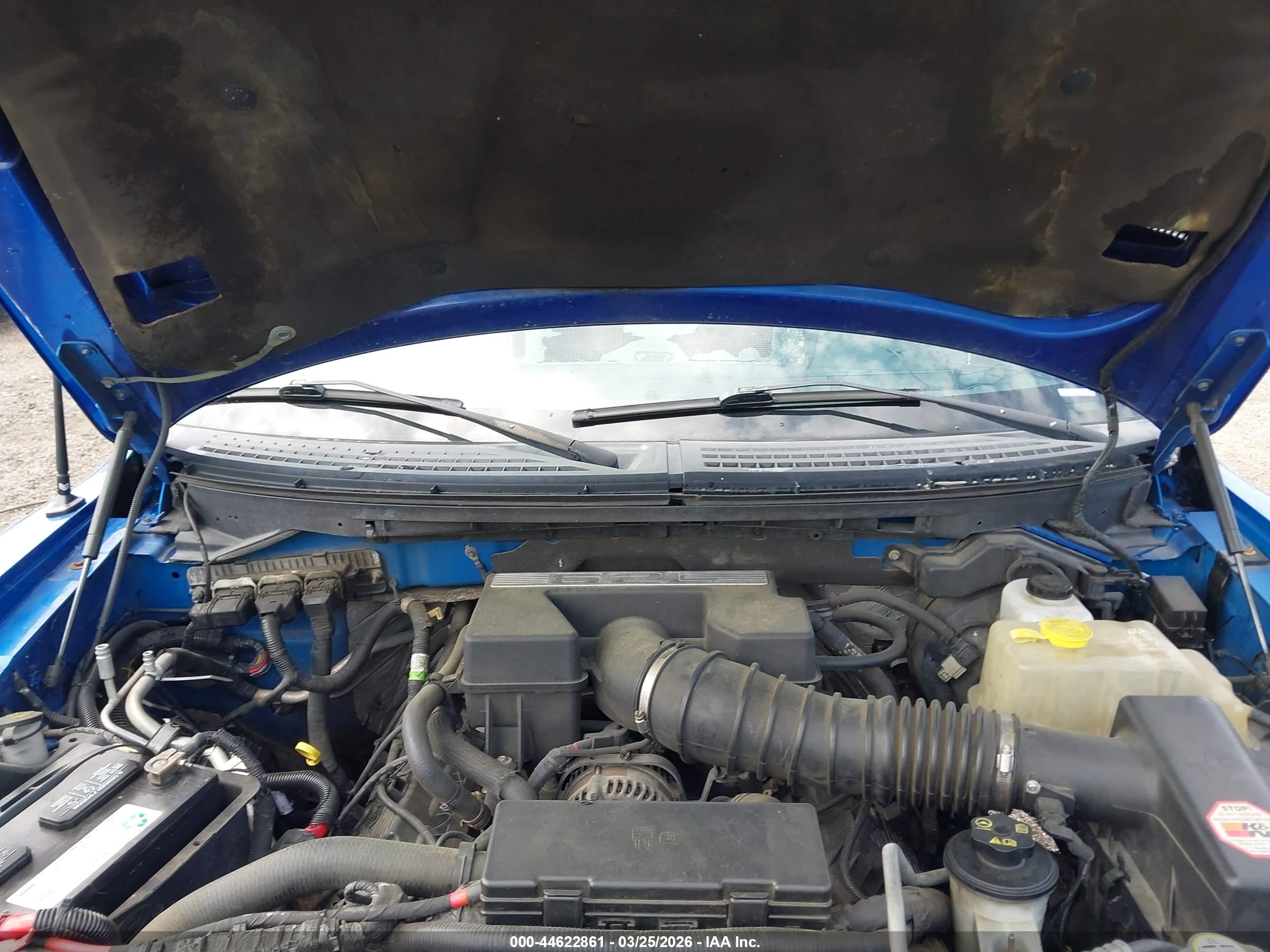 2012 Ford F-150 Svt Raptor Blue vin: 1FTFW1R61CFA46556