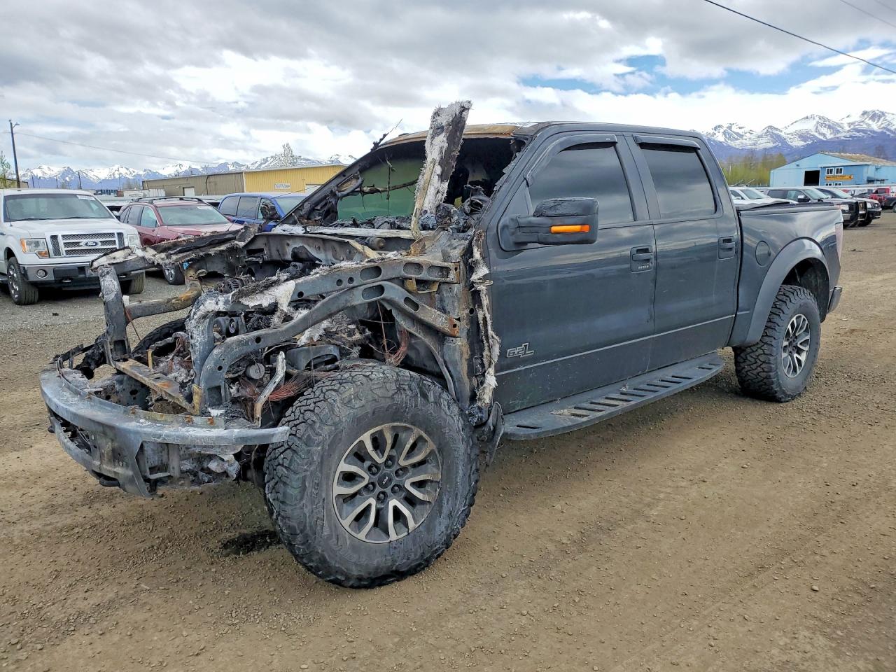2014 Ford F150 Svt Raptor Black vin: 1FTFW1R63EFC96528