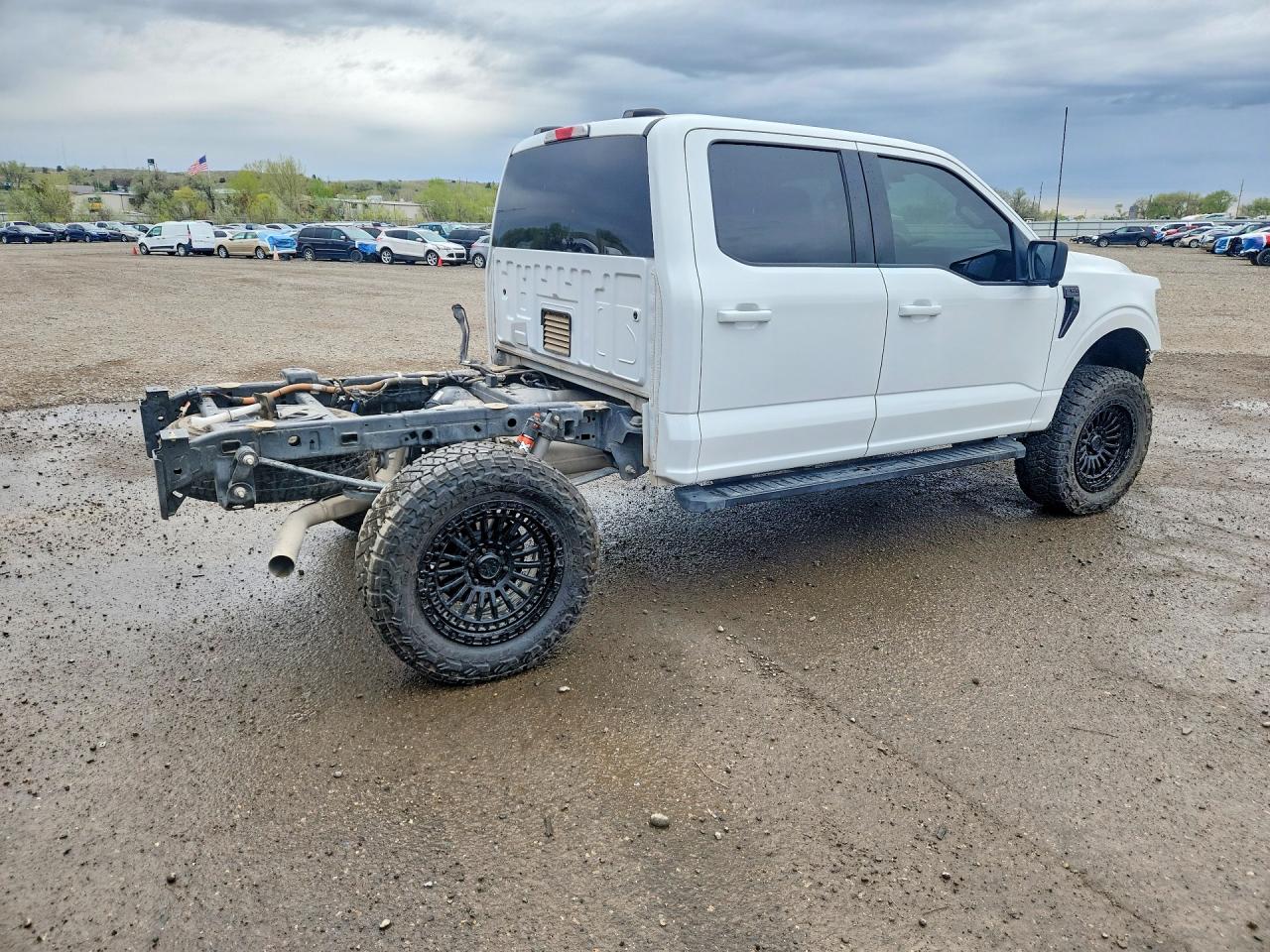 2024 Ford F150 Xlt White vin: 1FTFW3L5XRKF55900