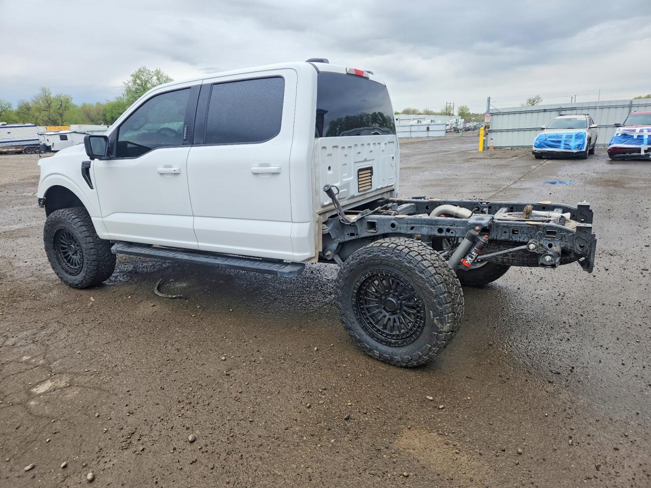 2024 Ford F150 Xlt White vin: 1FTFW3L5XRKF55900