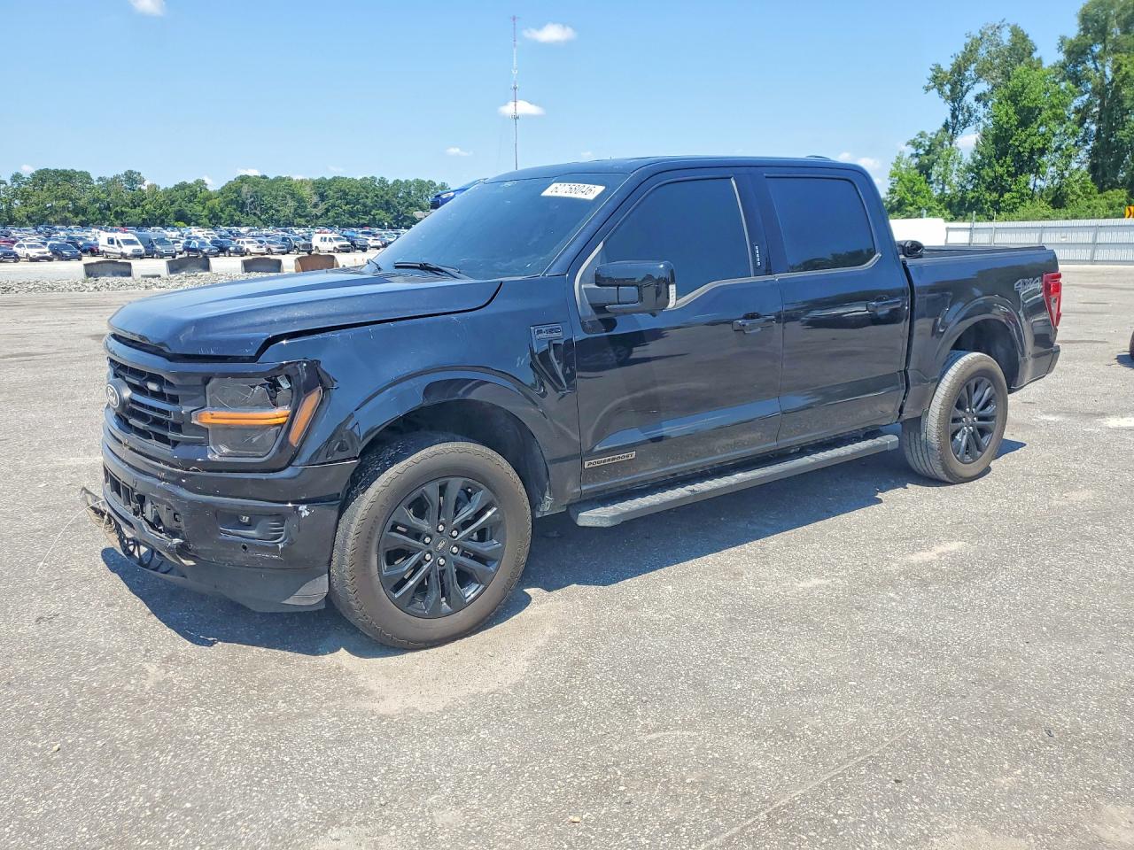 2024 Ford F150 Xlt Black vin: 1FTFW3LD4RFB96169