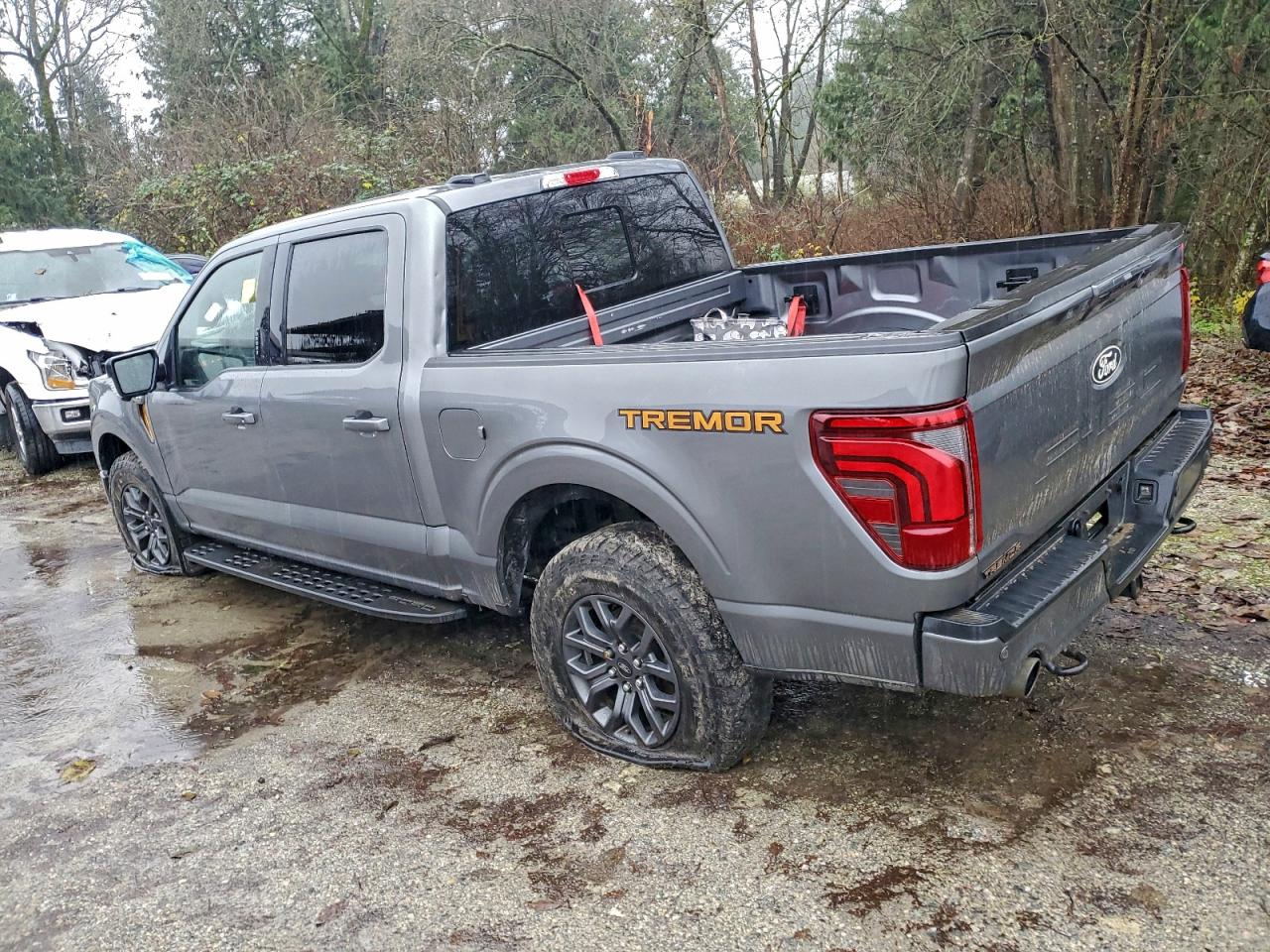2024 Ford F150 Tremor Gray vin: 1FTFW4L87RFB28635