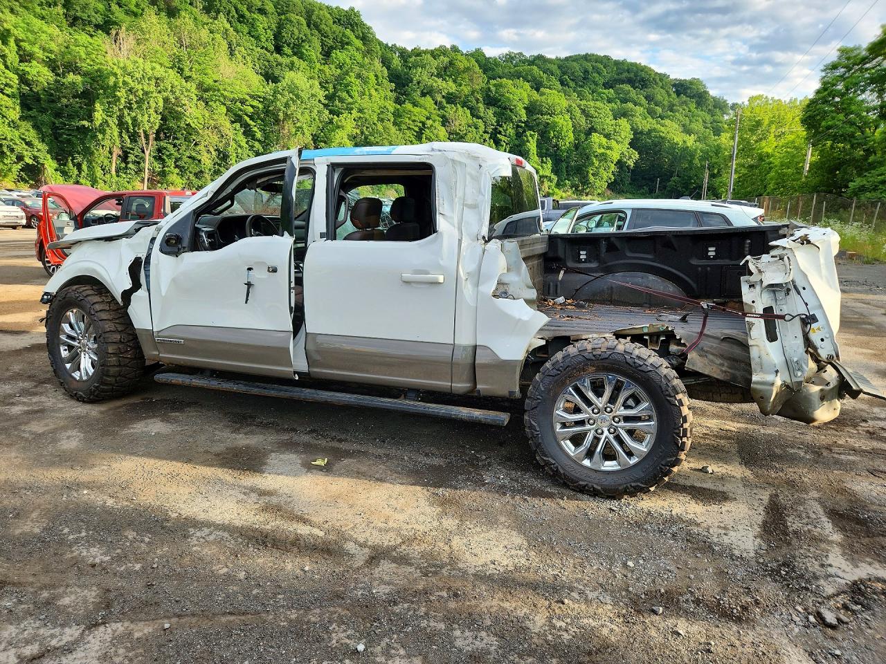 2025 Ford F150 King Ranch White vin: 1FTFW6LD0SFB54699