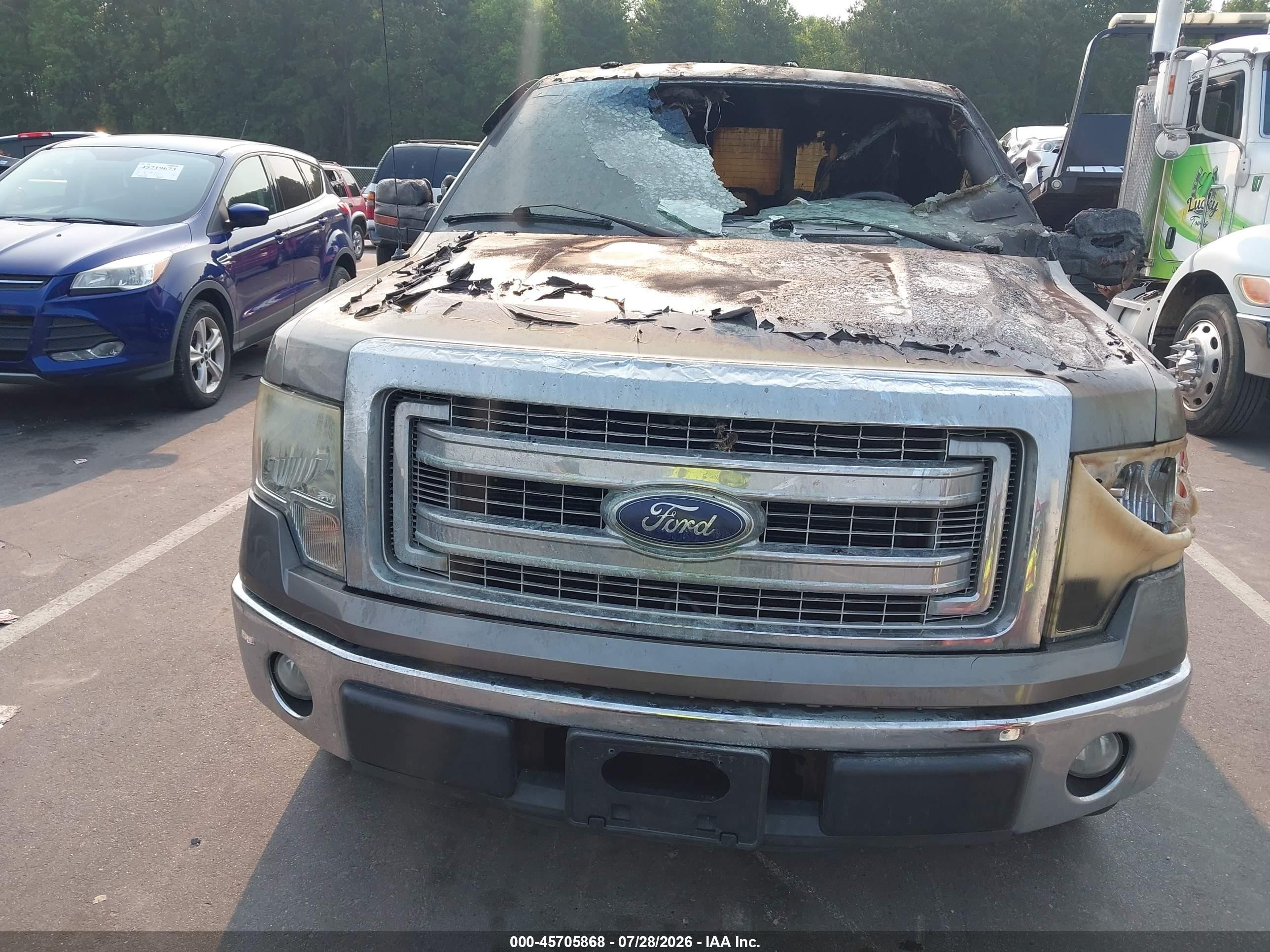 2013 Ford F-150 Xlt Silver vin: 1FTFX1CF5DFA72472
