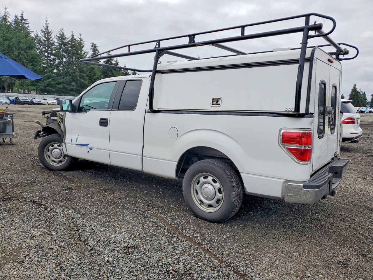 2013 Ford F150 Super Cab Белый vin: 1FTFX1CT9DKG13181