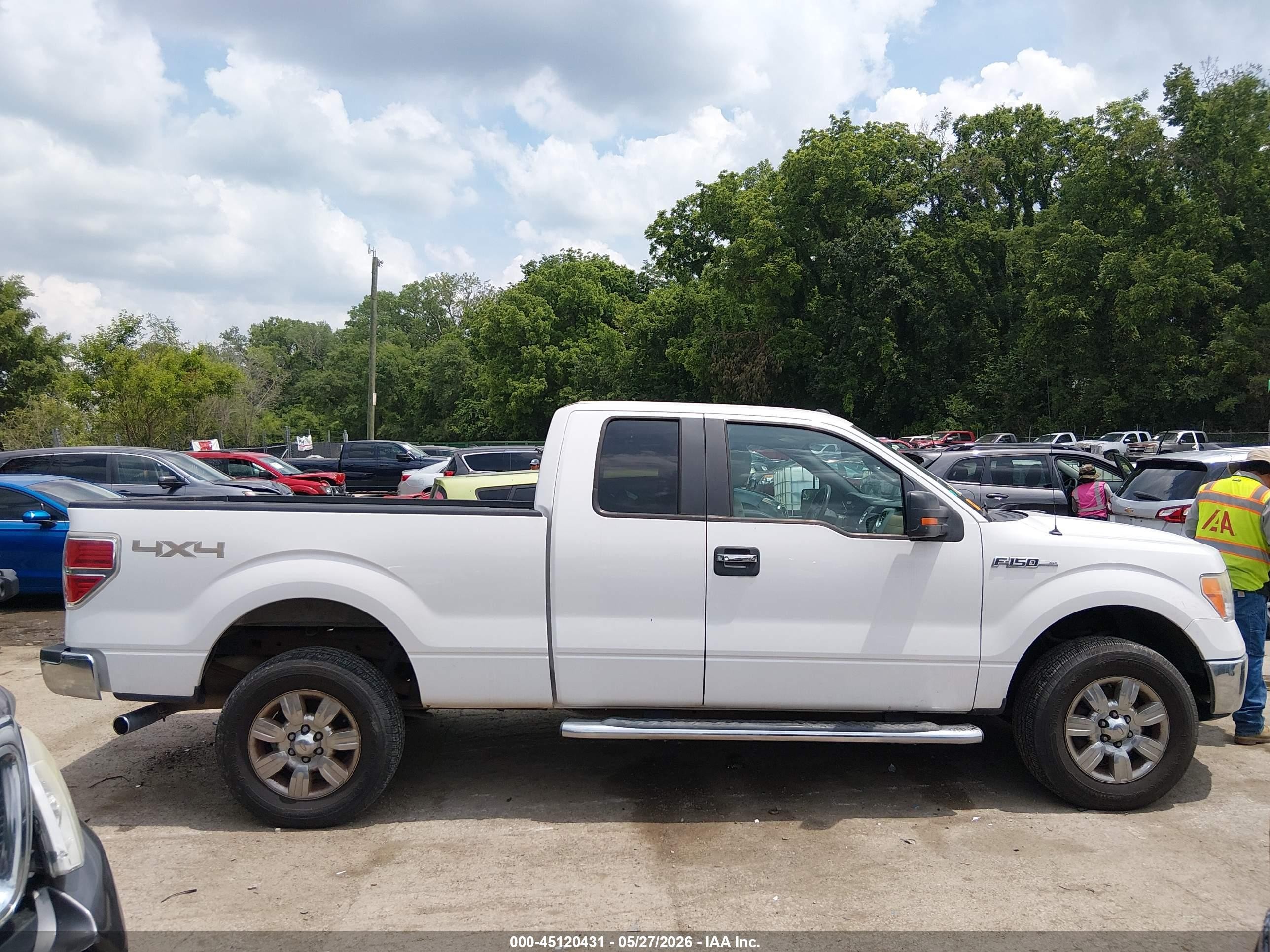 2011 Ford F-150 Xlt Белый vin: 1FTFX1EF3BFD41417