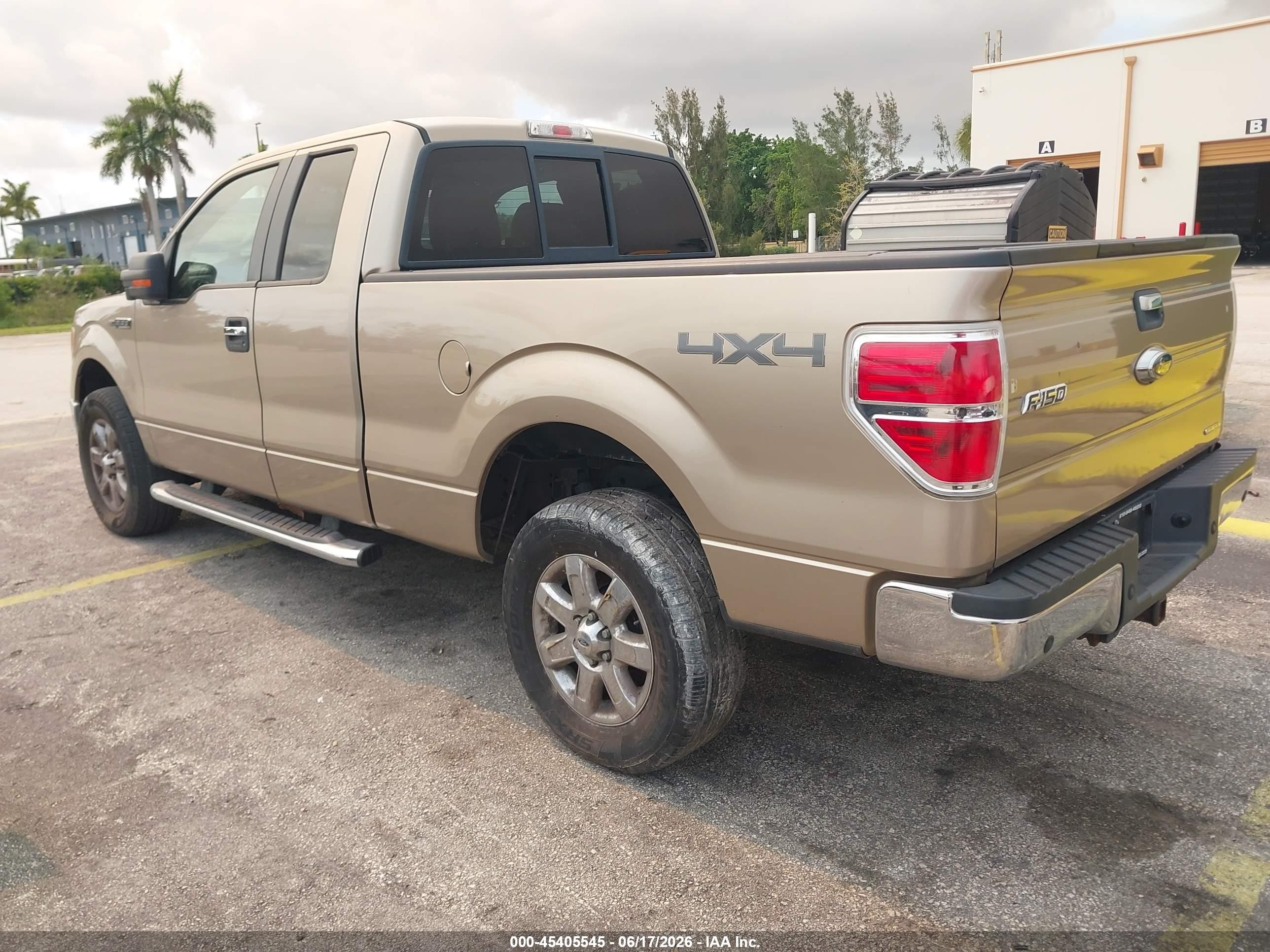 2013 Ford F-150 Xlt Gold vin: 1FTFX1EF5DFB48818