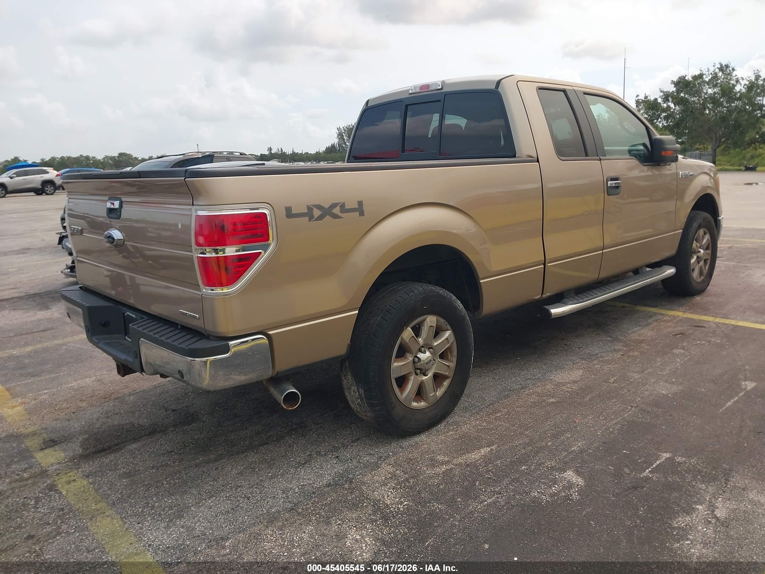 2013 Ford F-150 Xlt Gold vin: 1FTFX1EF5DFB48818