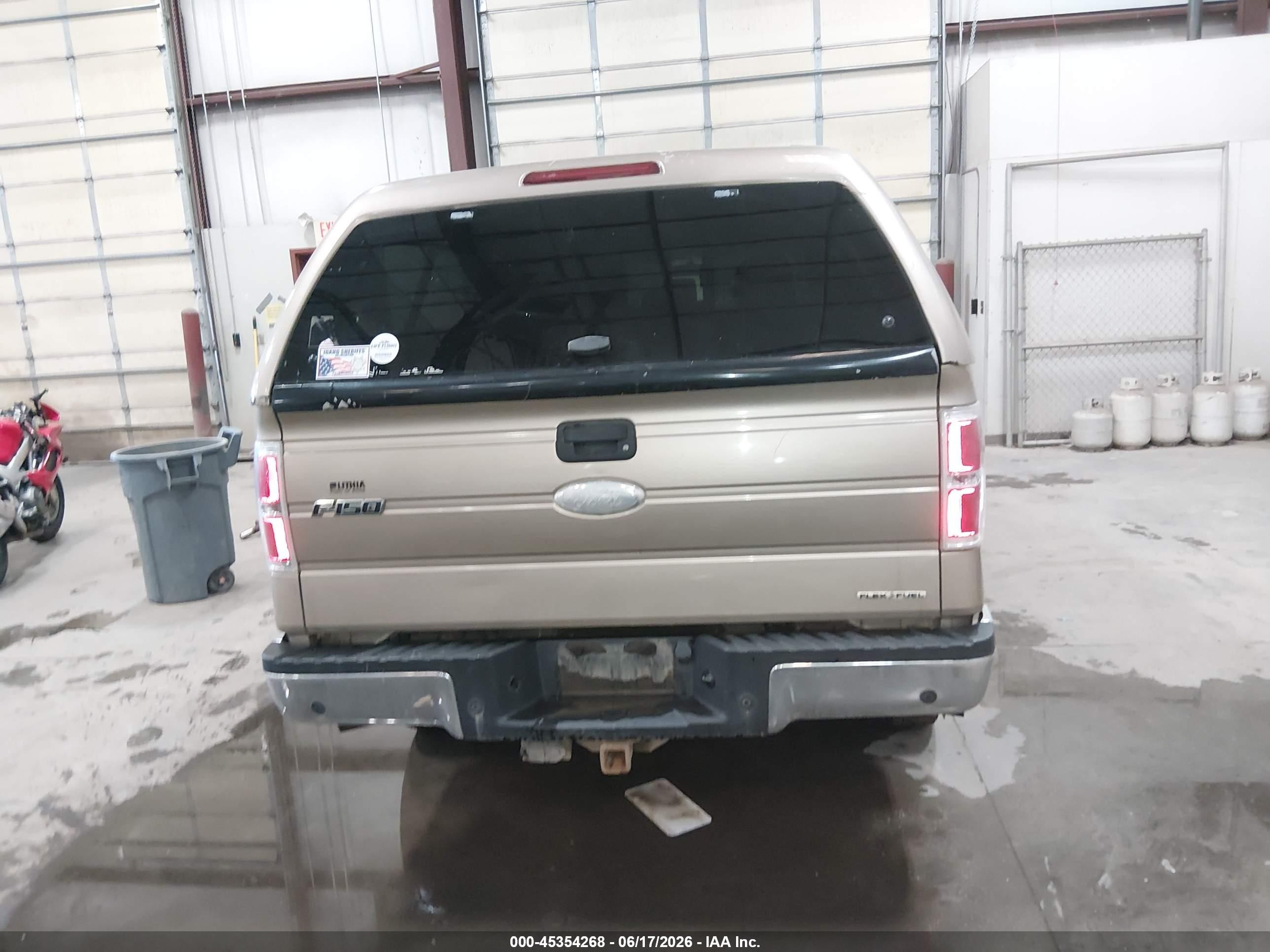 2011 Ford F-150 Xlt Gold vin: 1FTFX1EF6BFB57024