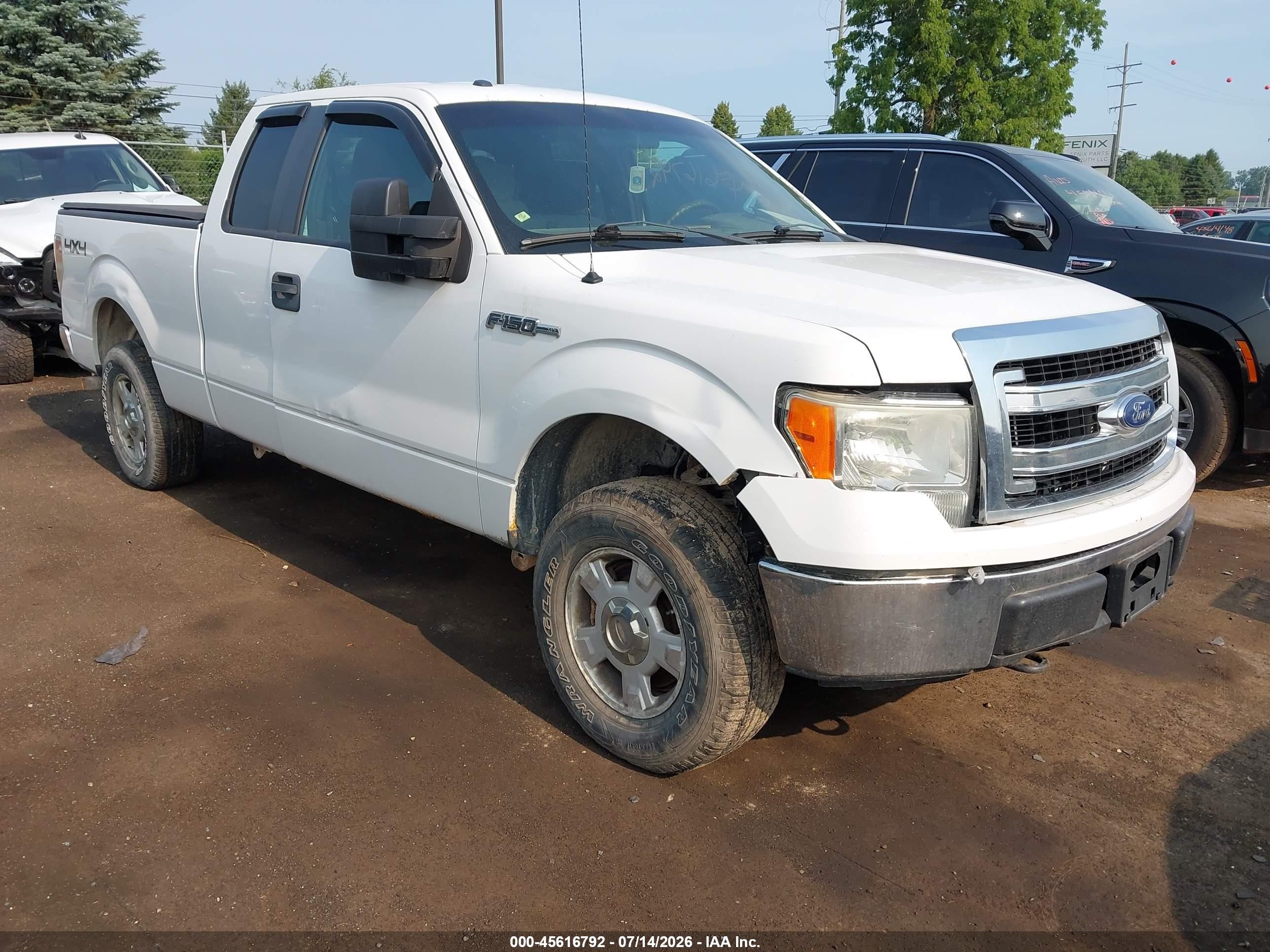 2013 Ford F-150 Xlt White vin: 1FTFX1EF9DFB12517