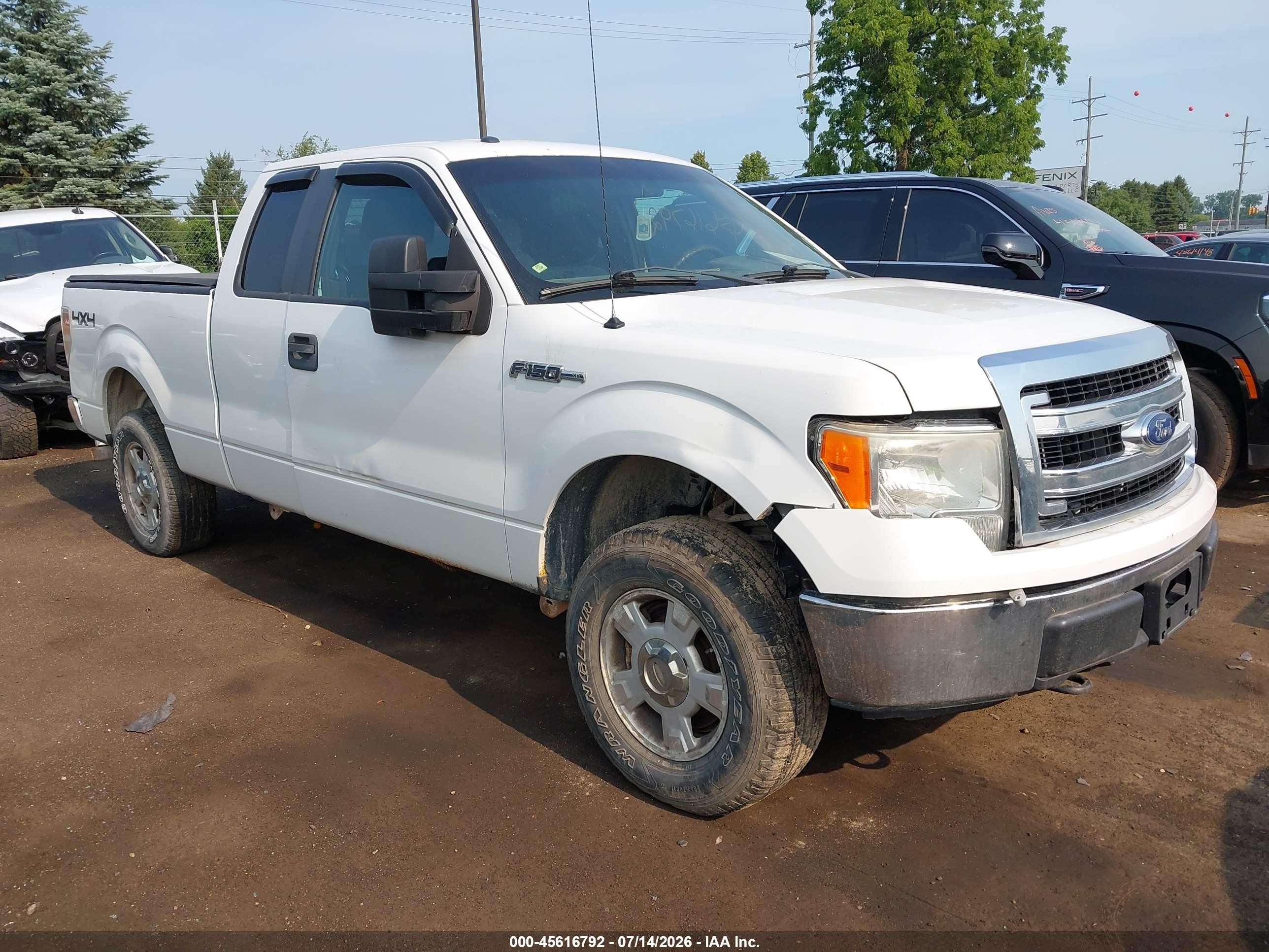 2013 Ford F-150 Xlt White vin: 1FTFX1EF9DFB12517