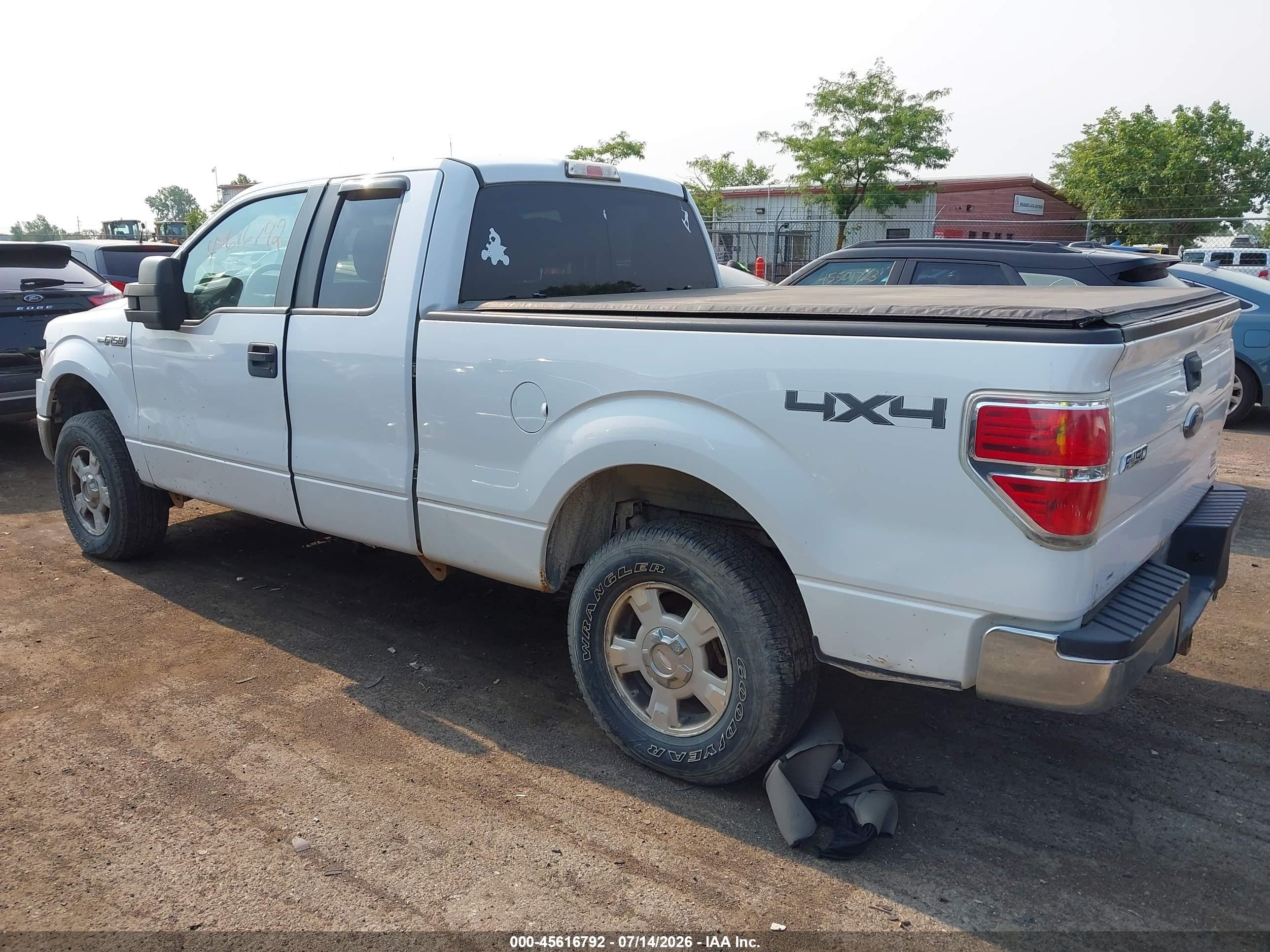 2013 Ford F-150 Xlt White vin: 1FTFX1EF9DFB12517