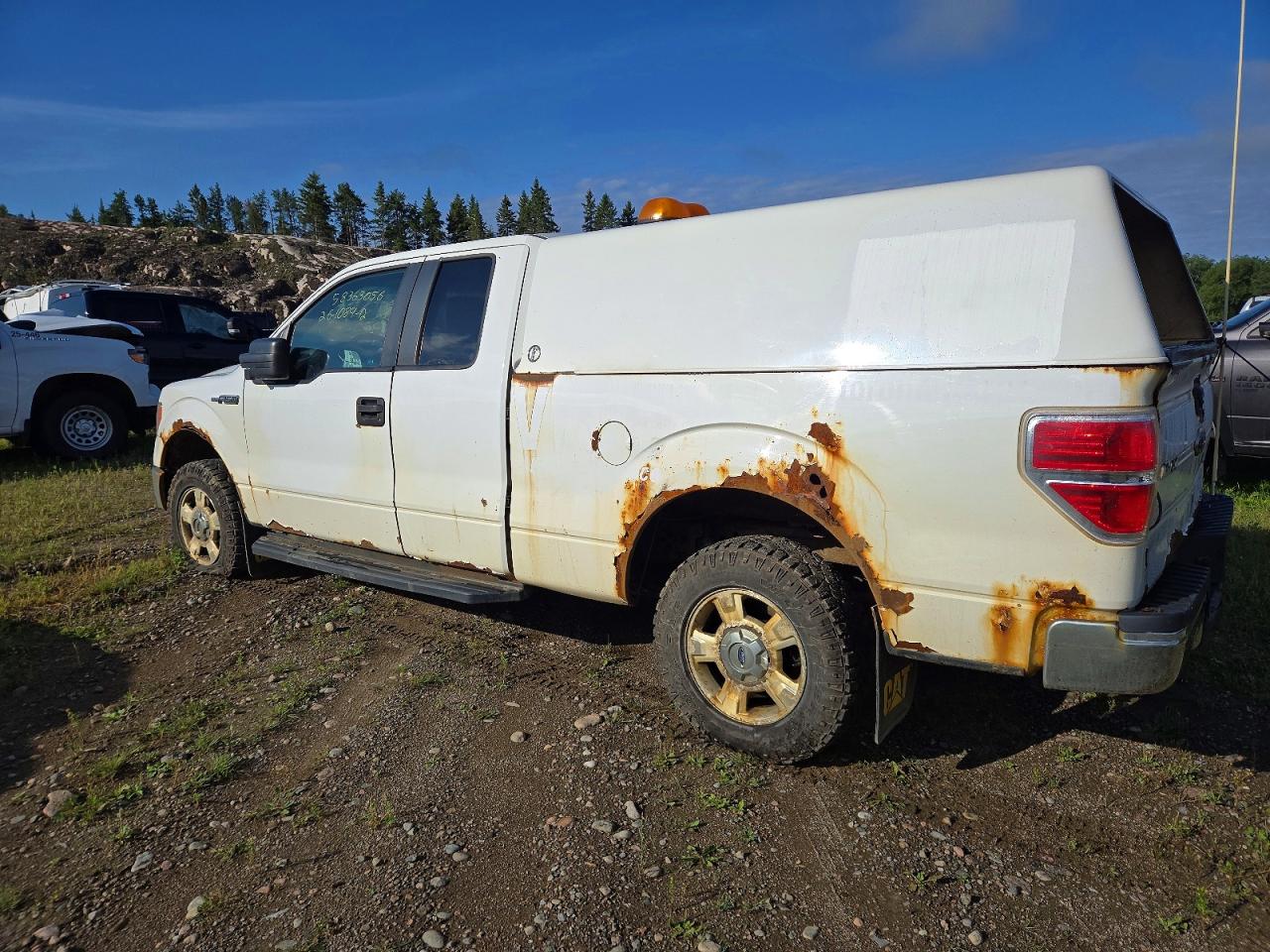 2012 Ford F150 Super Cab Белый vin: 1FTFX1EFXCFB75771