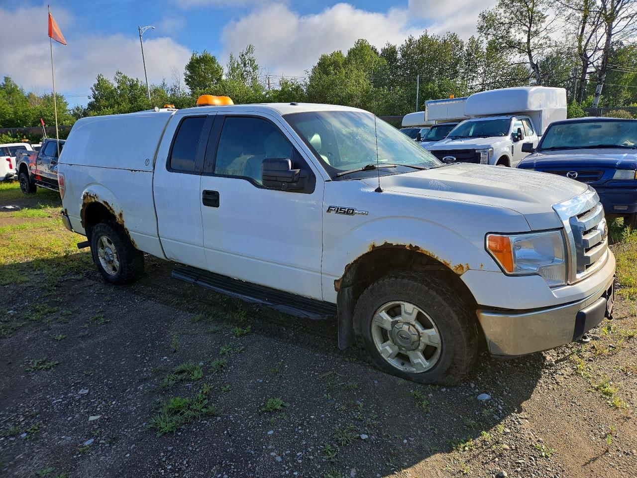 2012 Ford F150 Super Cab Белый vin: 1FTFX1EFXCFB75771