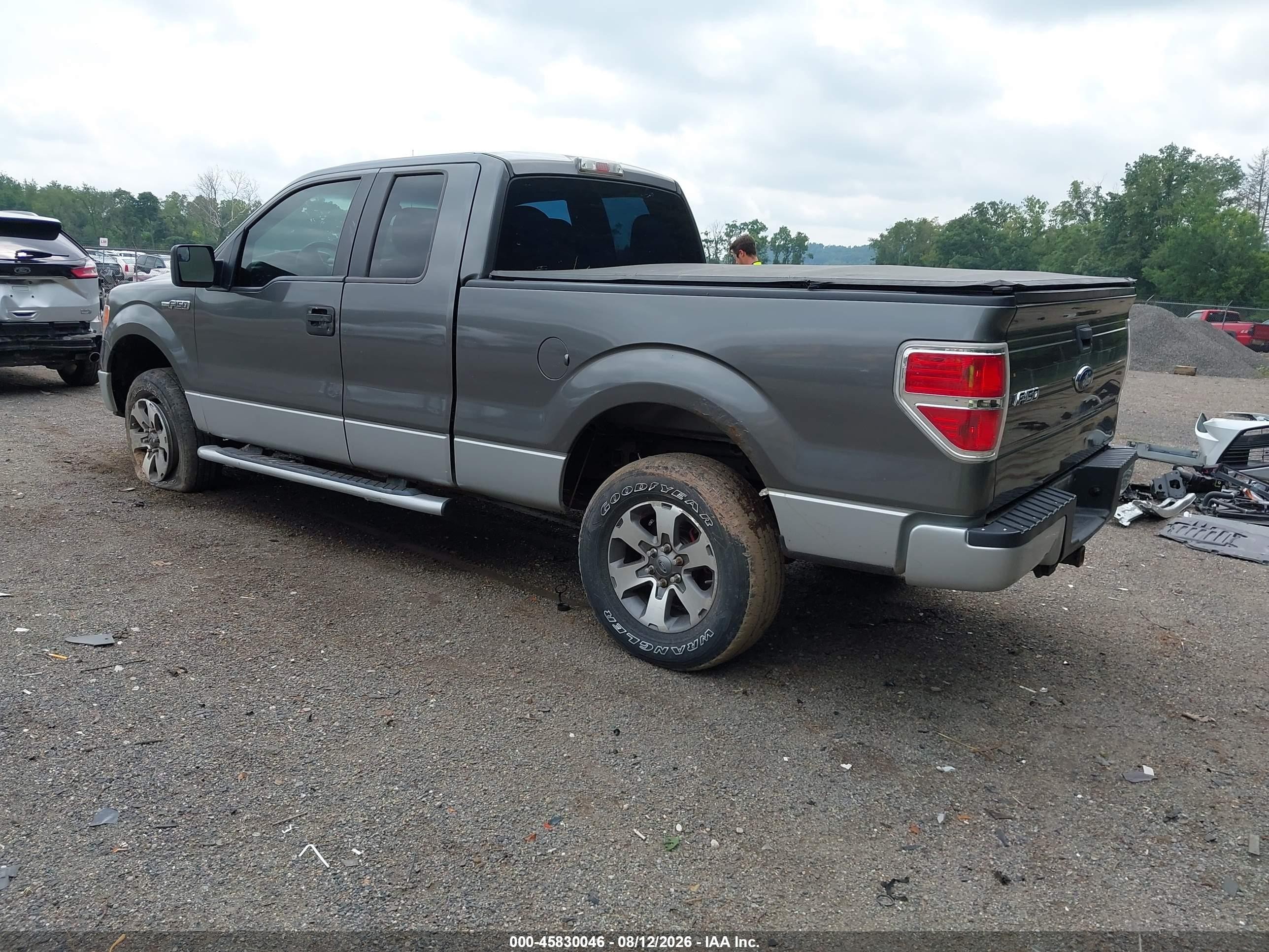 2013 Ford F-150 Stx Серый vin: 1FTFX1EFXDFD27744