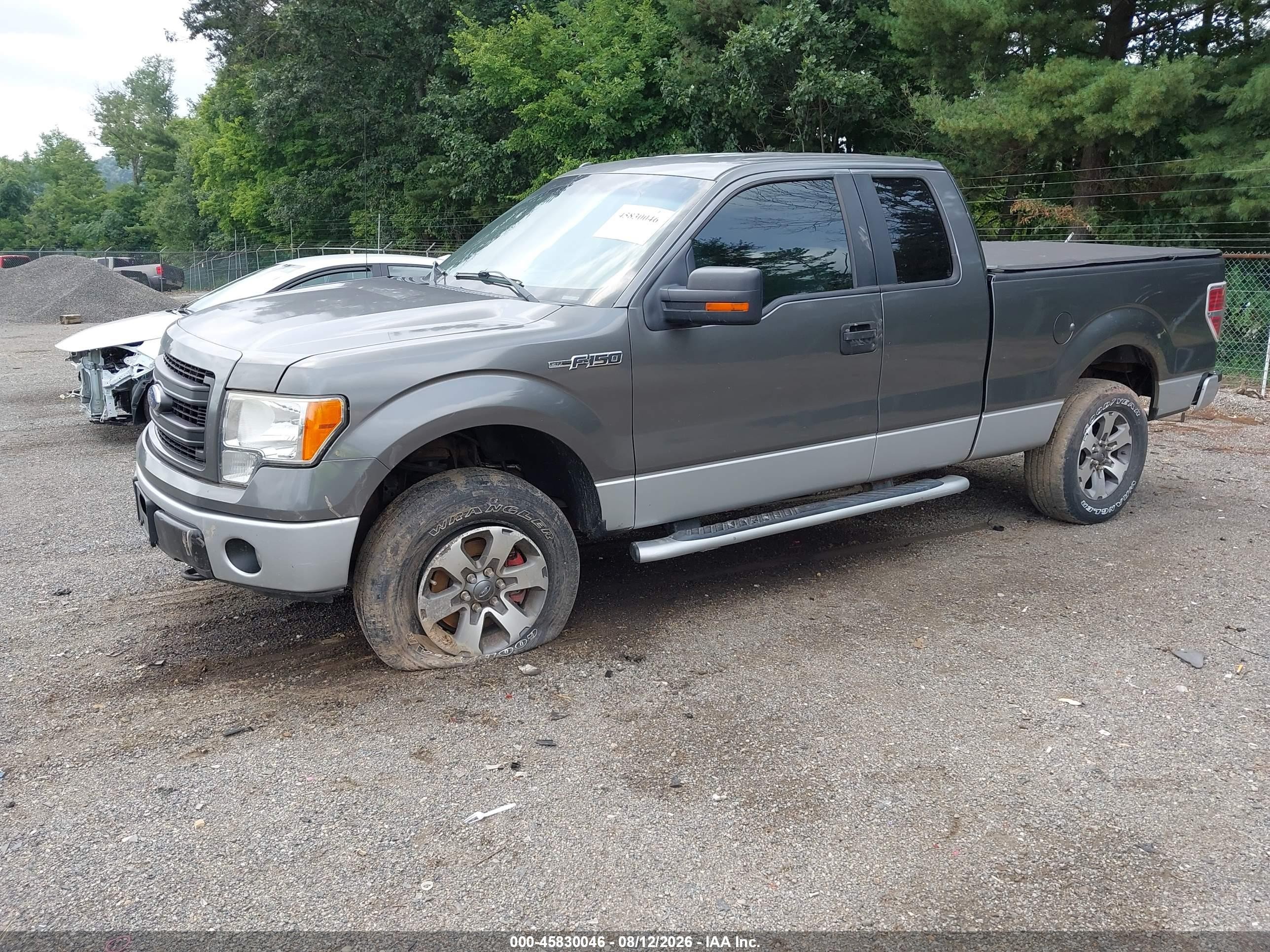 2013 Ford F-150 Stx Серый vin: 1FTFX1EFXDFD27744