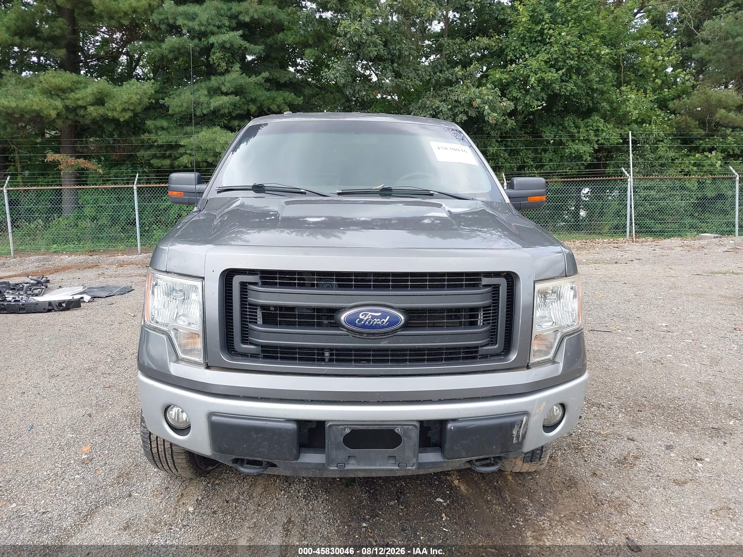 2013 Ford F-150 Stx Серый vin: 1FTFX1EFXDFD27744
