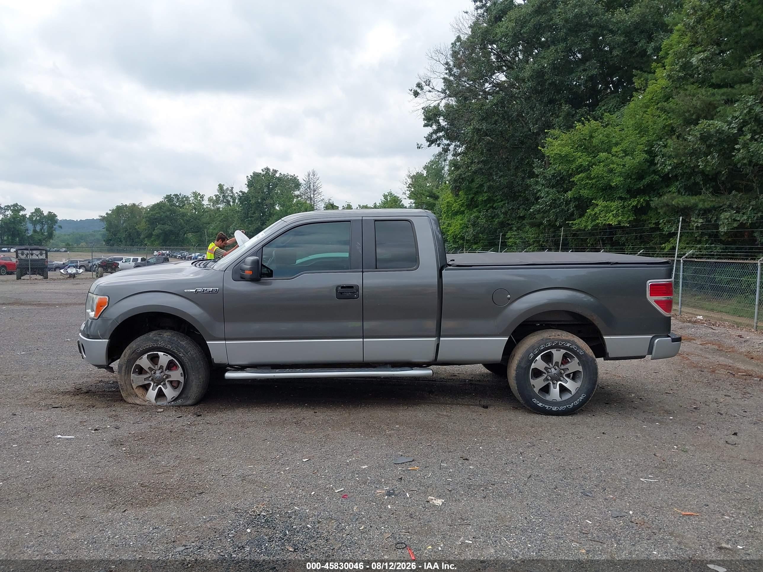 2013 Ford F-150 Stx Серый vin: 1FTFX1EFXDFD27744